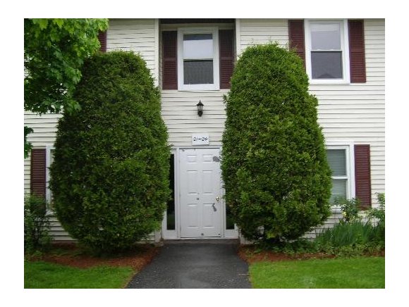 23 Saybrook Rd, Unit 23