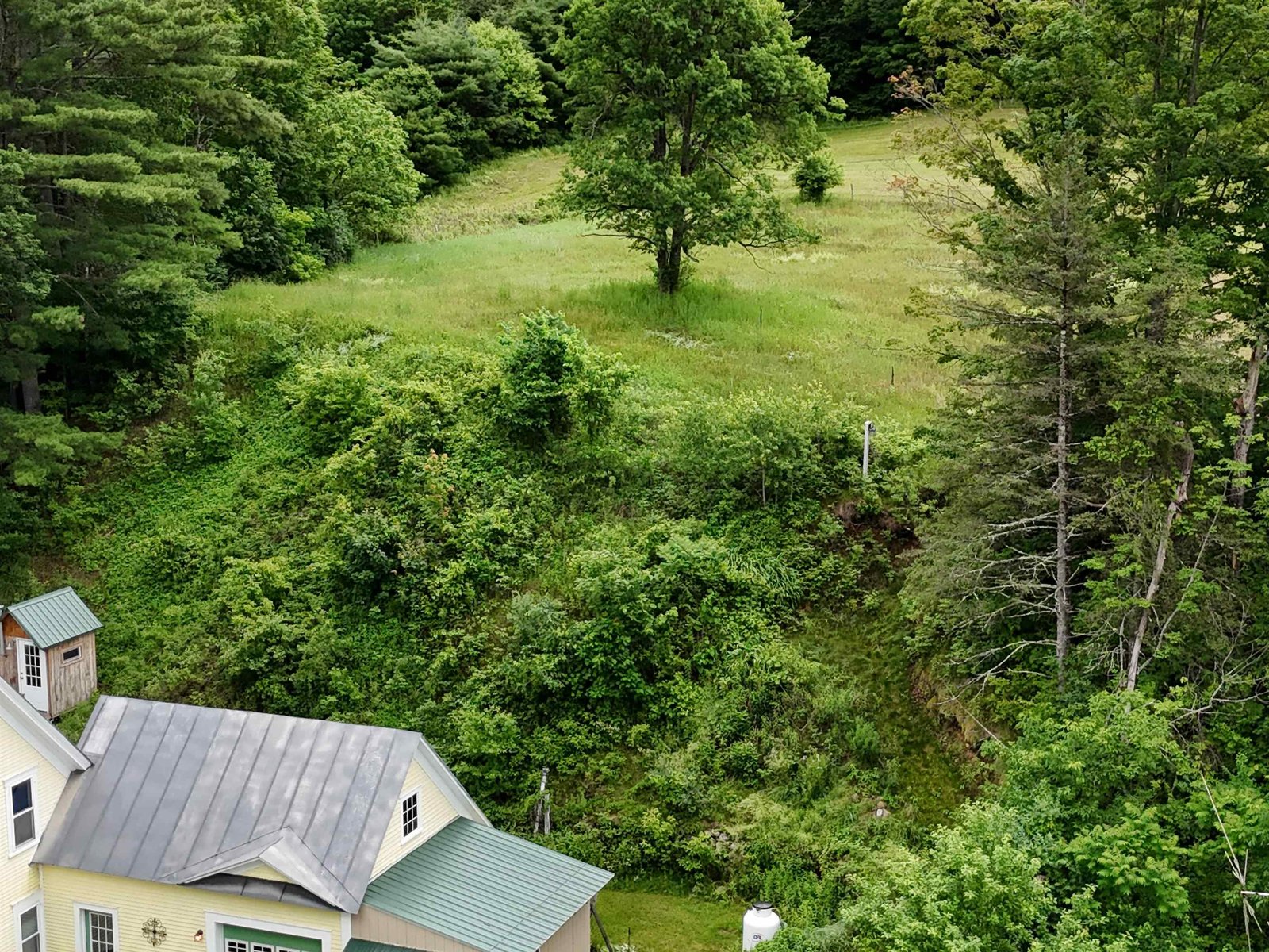 Field Above