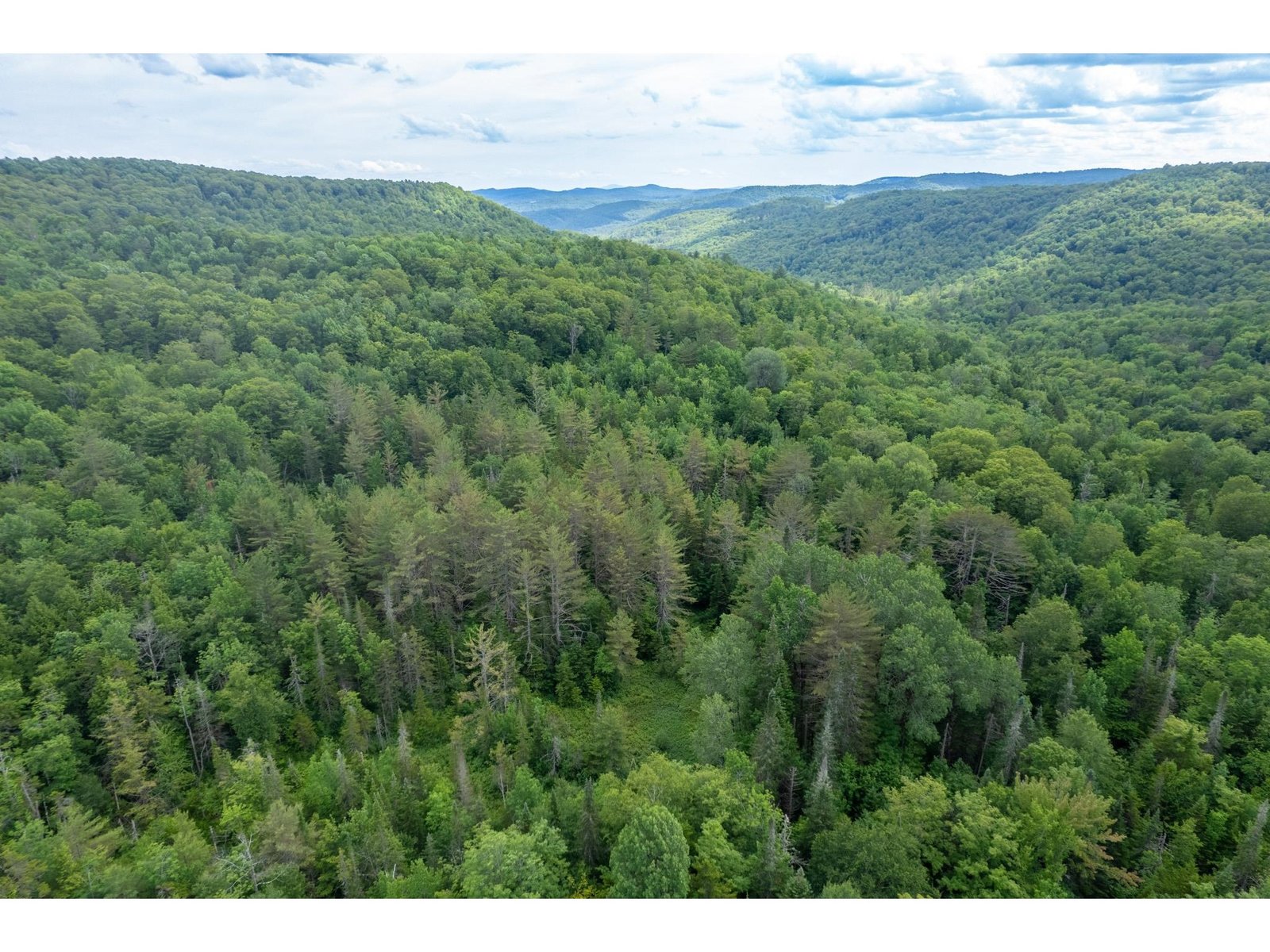 230 Taylor Valley Road