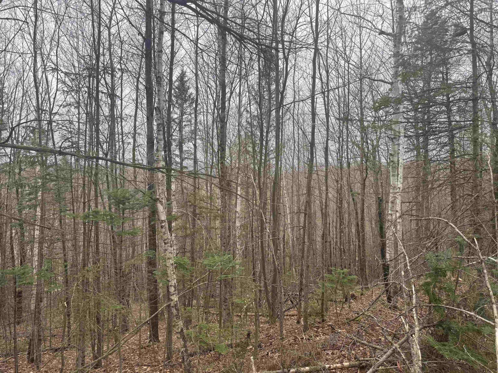 231 John Rock Road