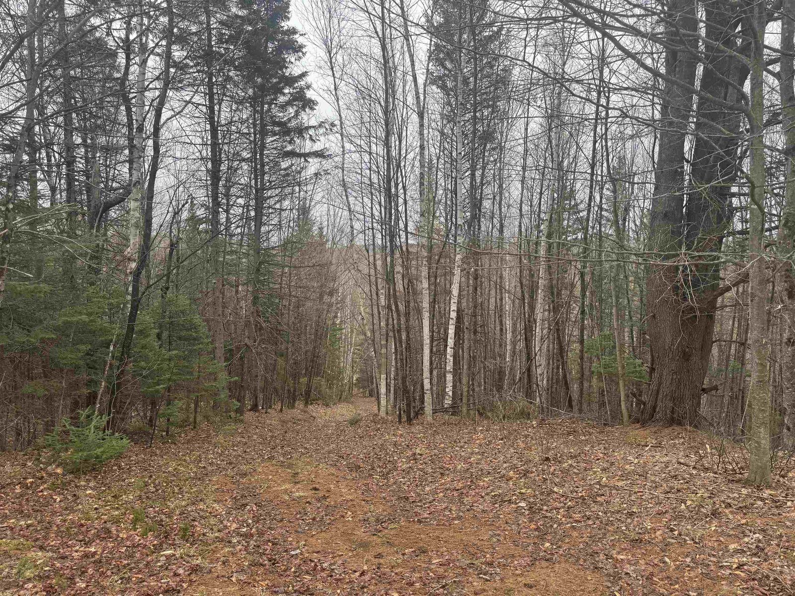 231 John Rock Road
