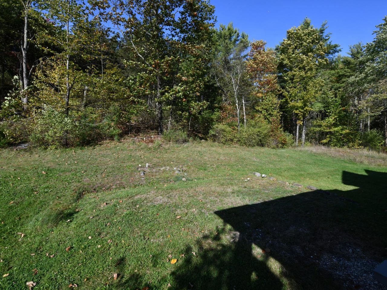 Open lot facing trees