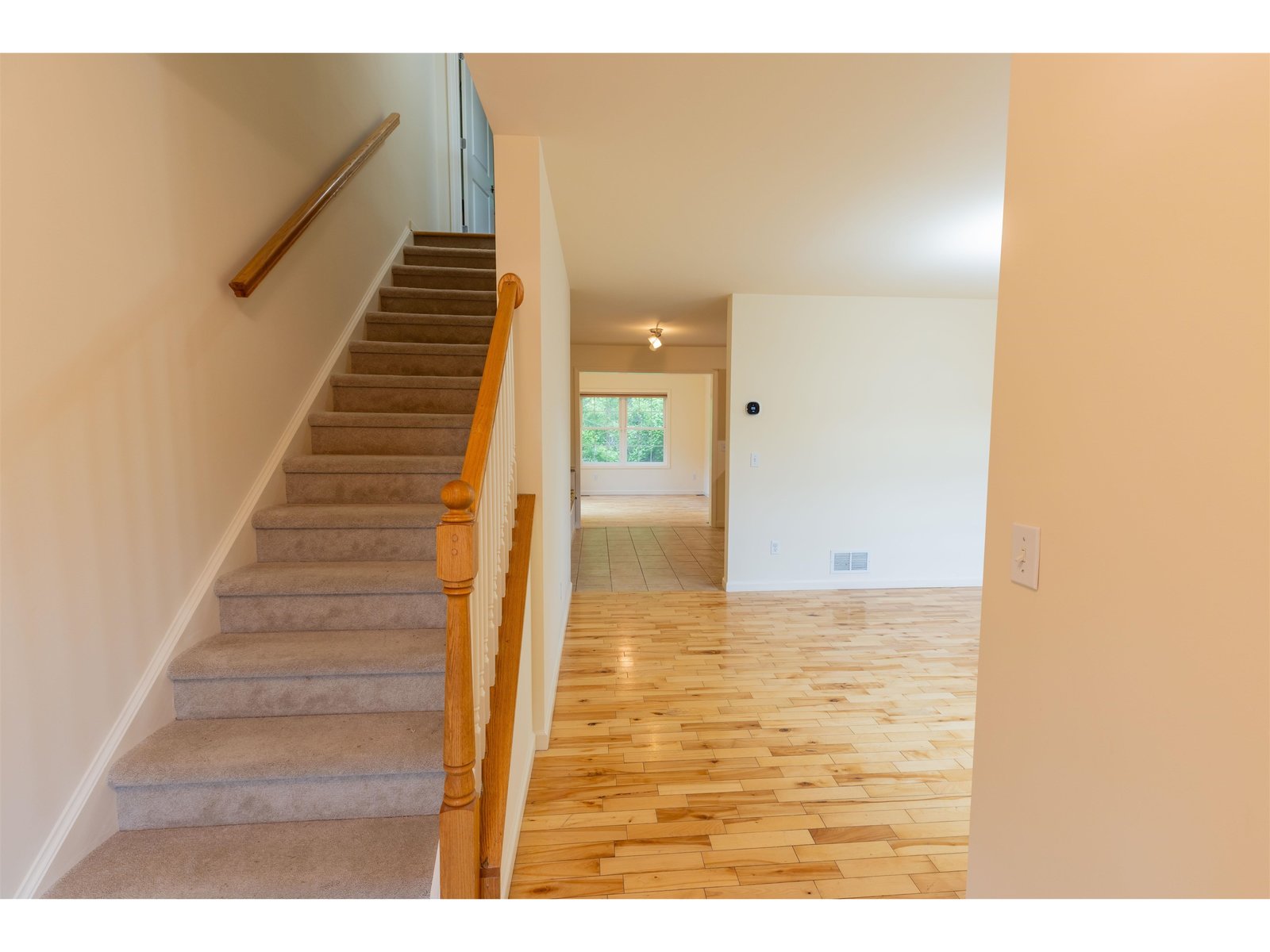 233 Abigail Drive