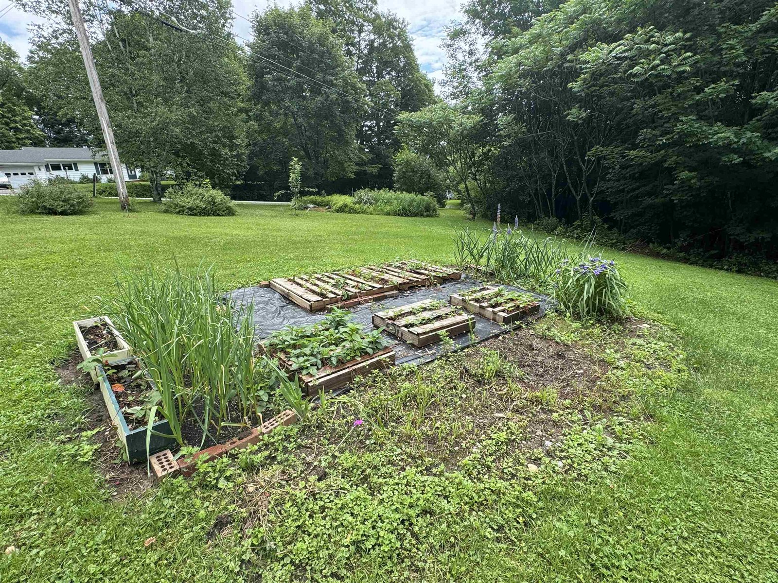 233 N Hill Road
