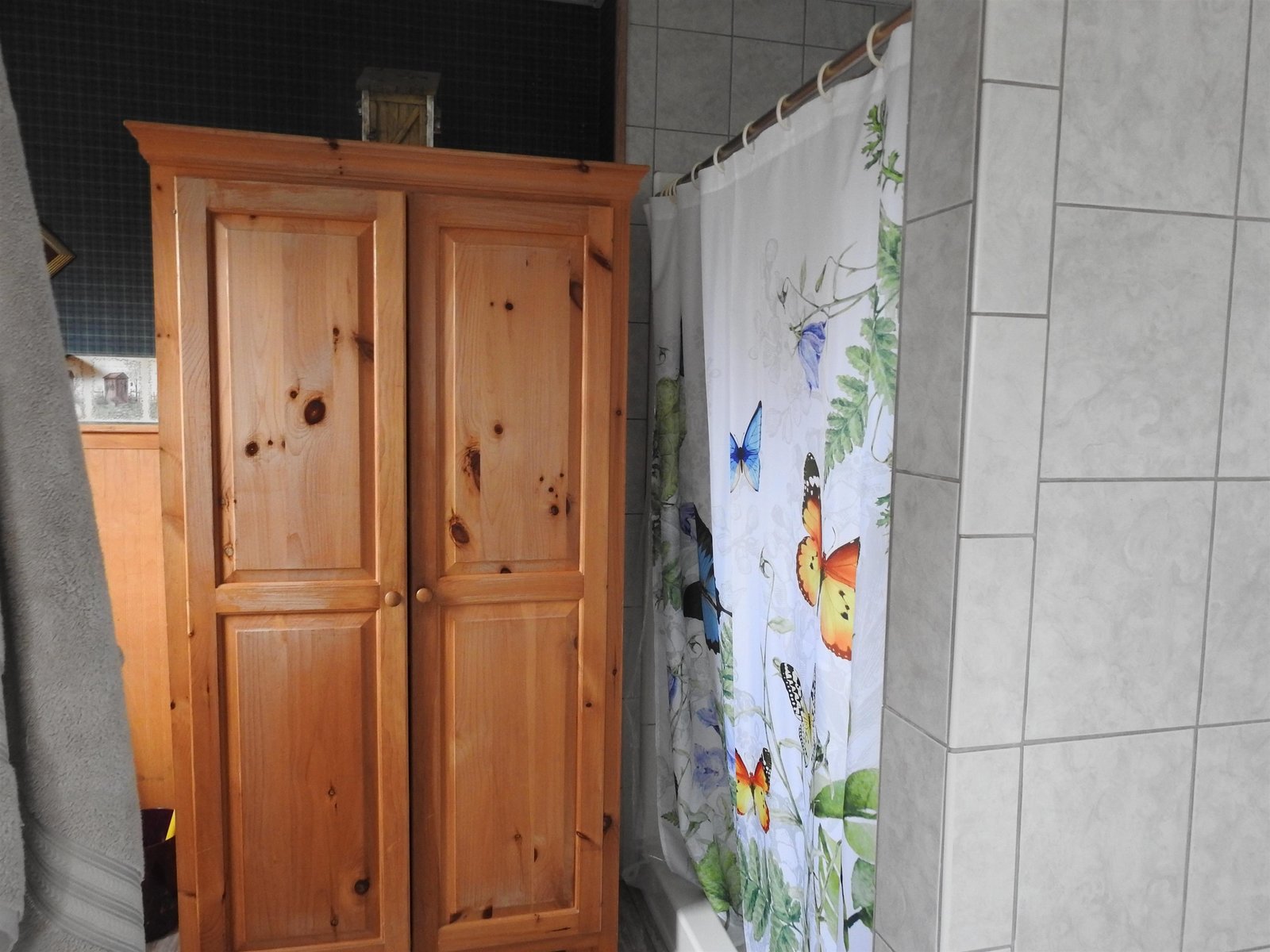 Walk in shower in first floor bathroom