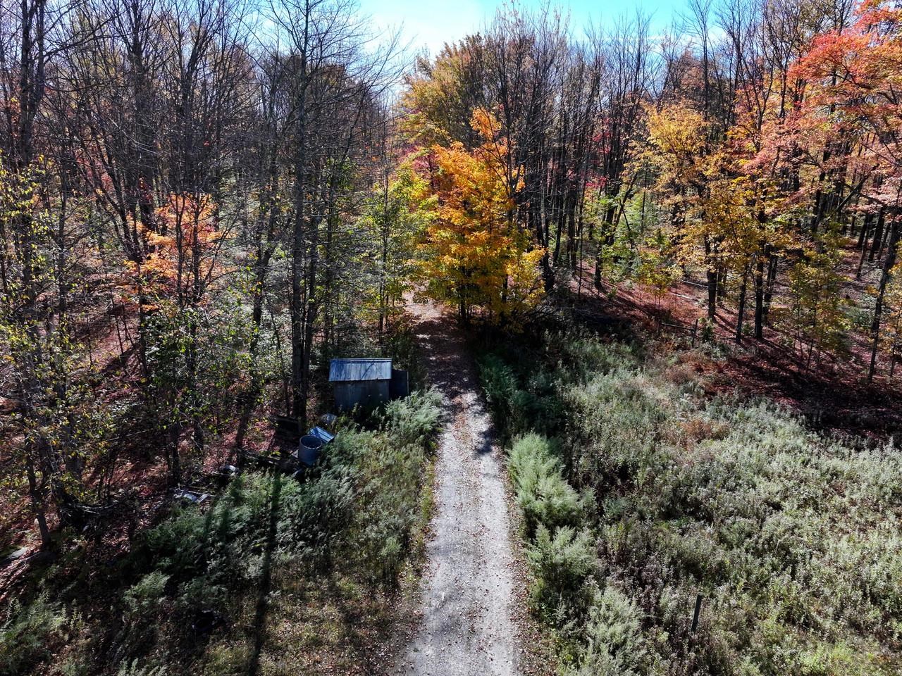 2334 Pumpkin Village Road