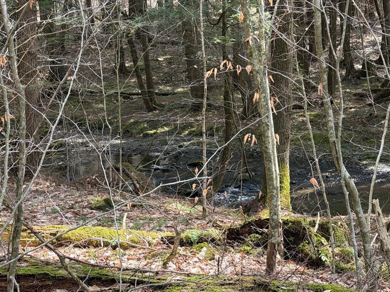 With a Small River