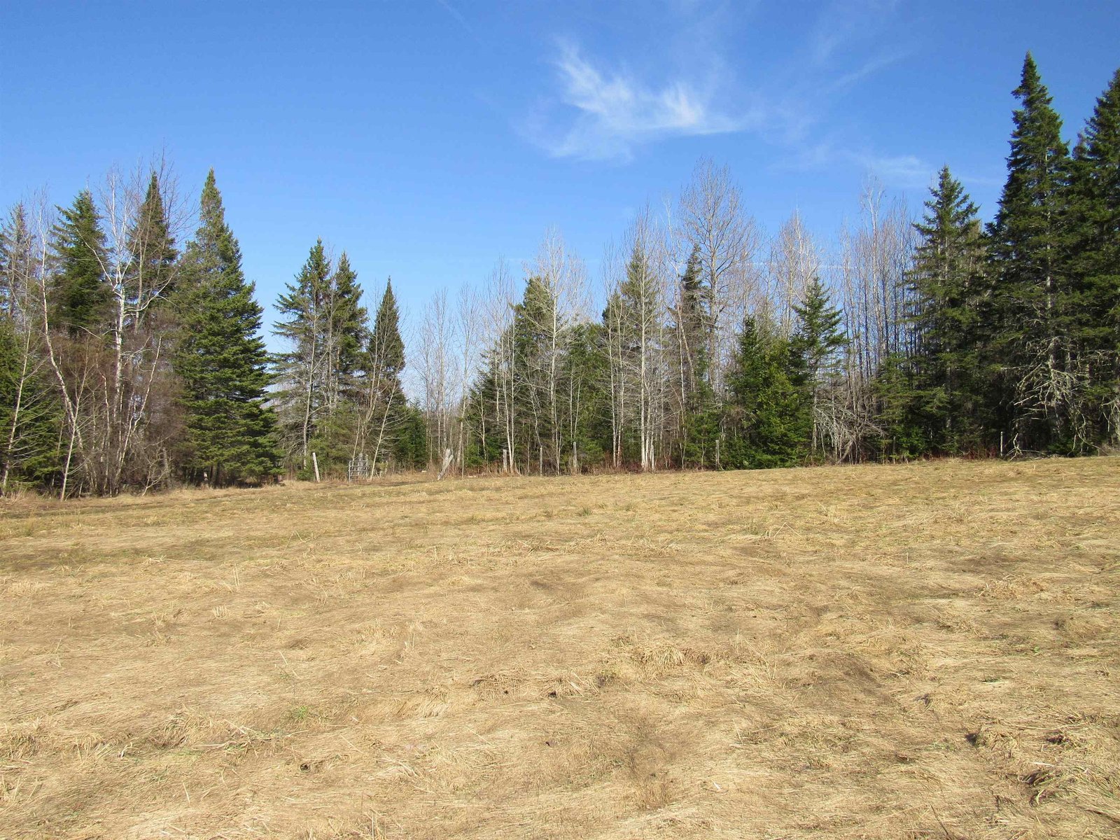 2336 Willoughby Lake Road