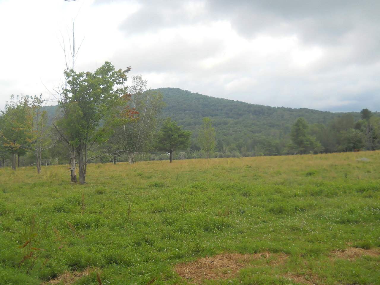 234 Creamery Bridge Road