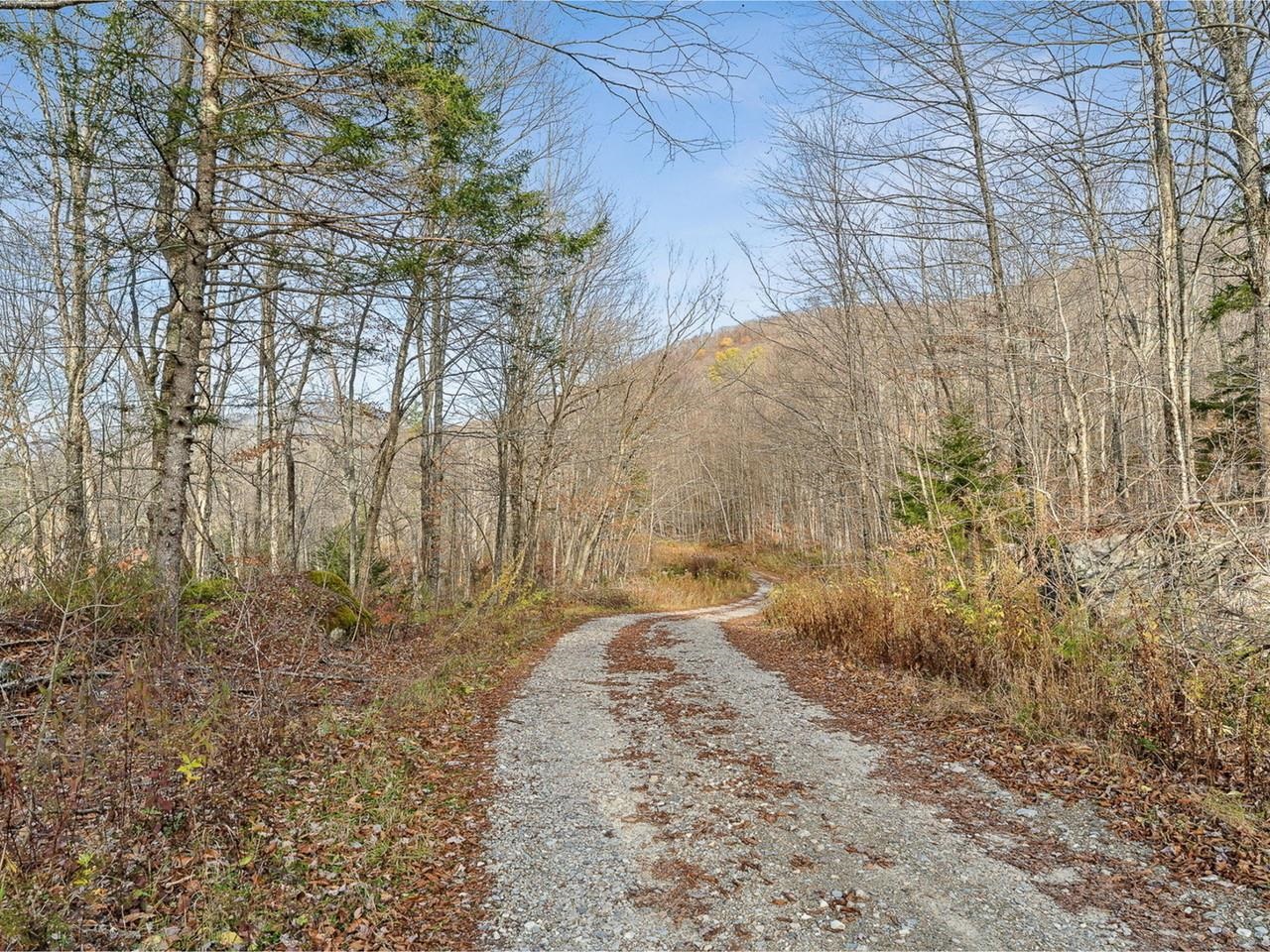 Cobb Hill Road
