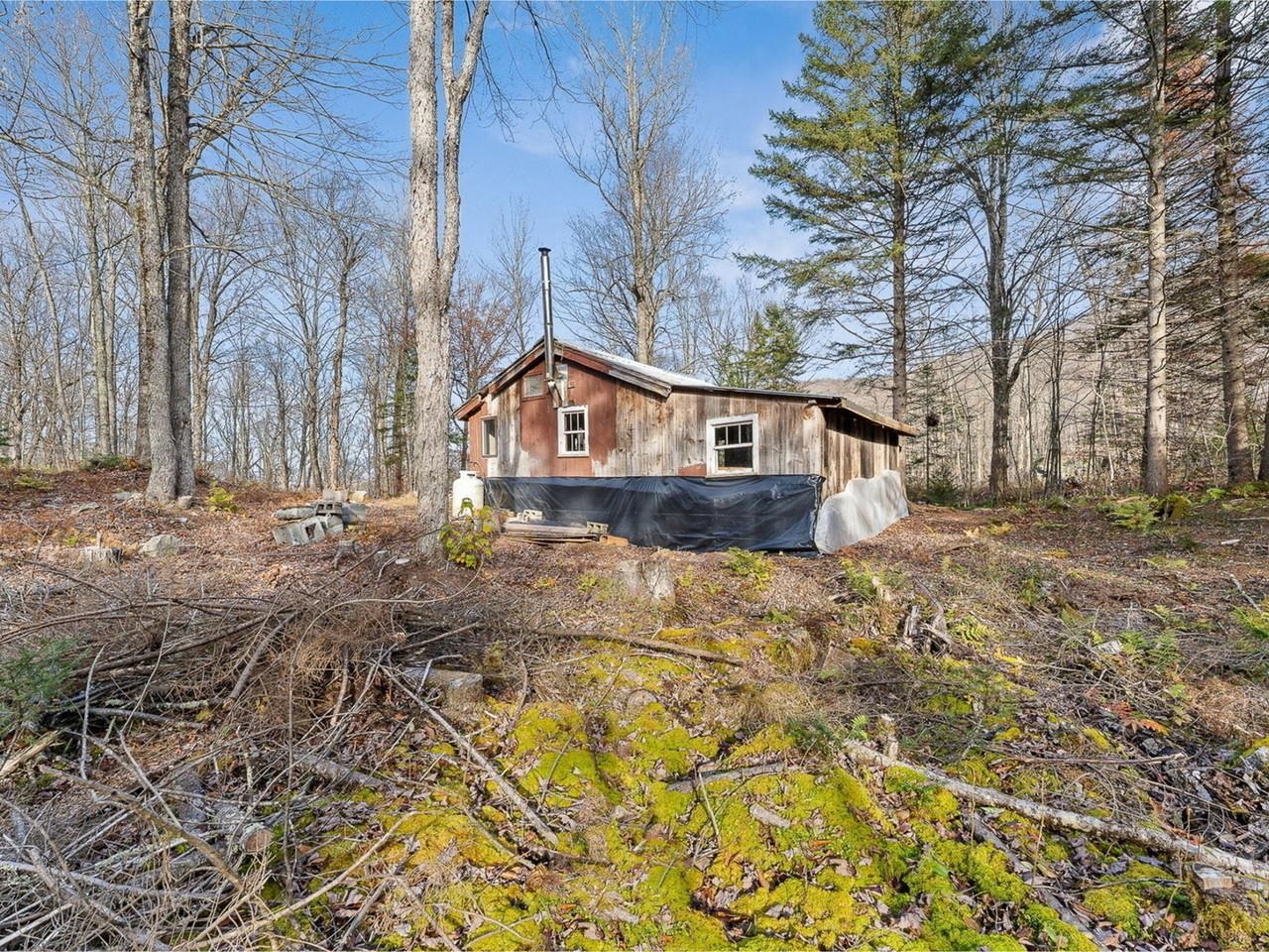 Back of camp