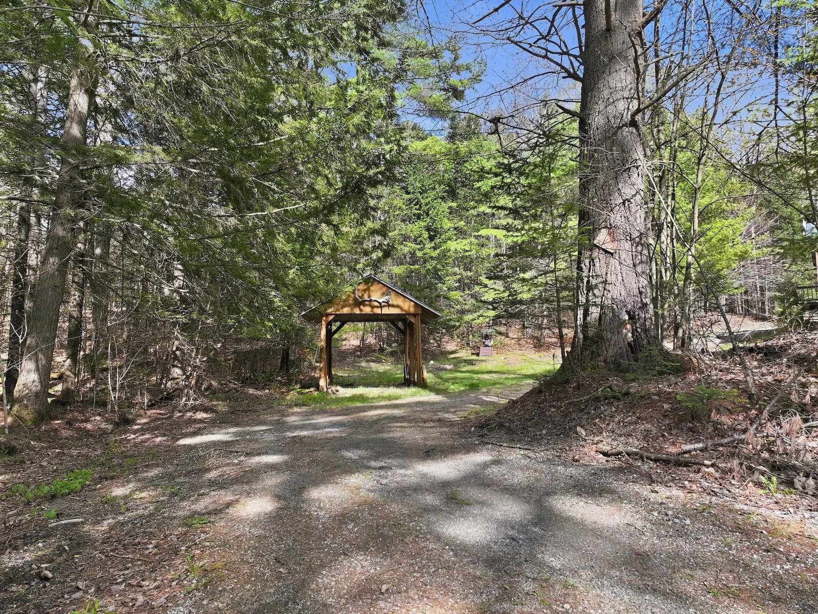 2352 Minard Hill Road