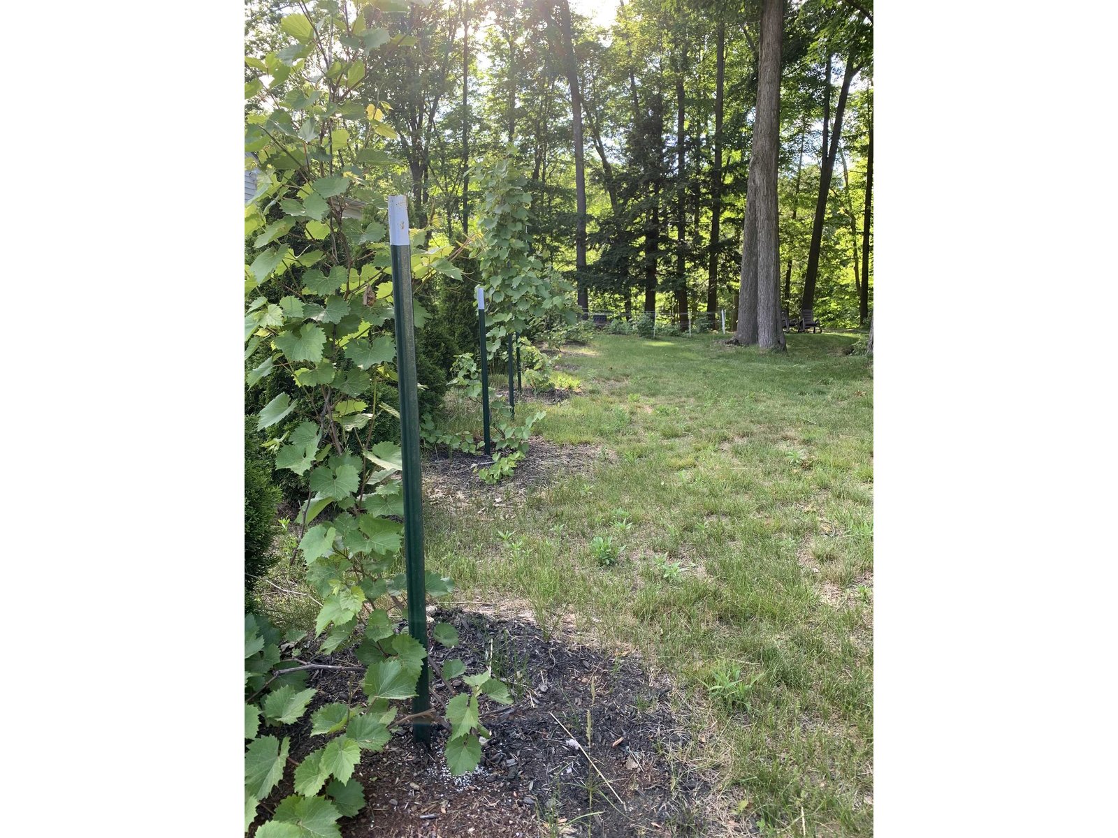 236 Prospect Parkway