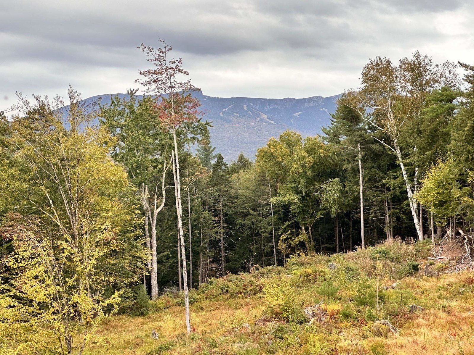2364 mountain Road, Stowe