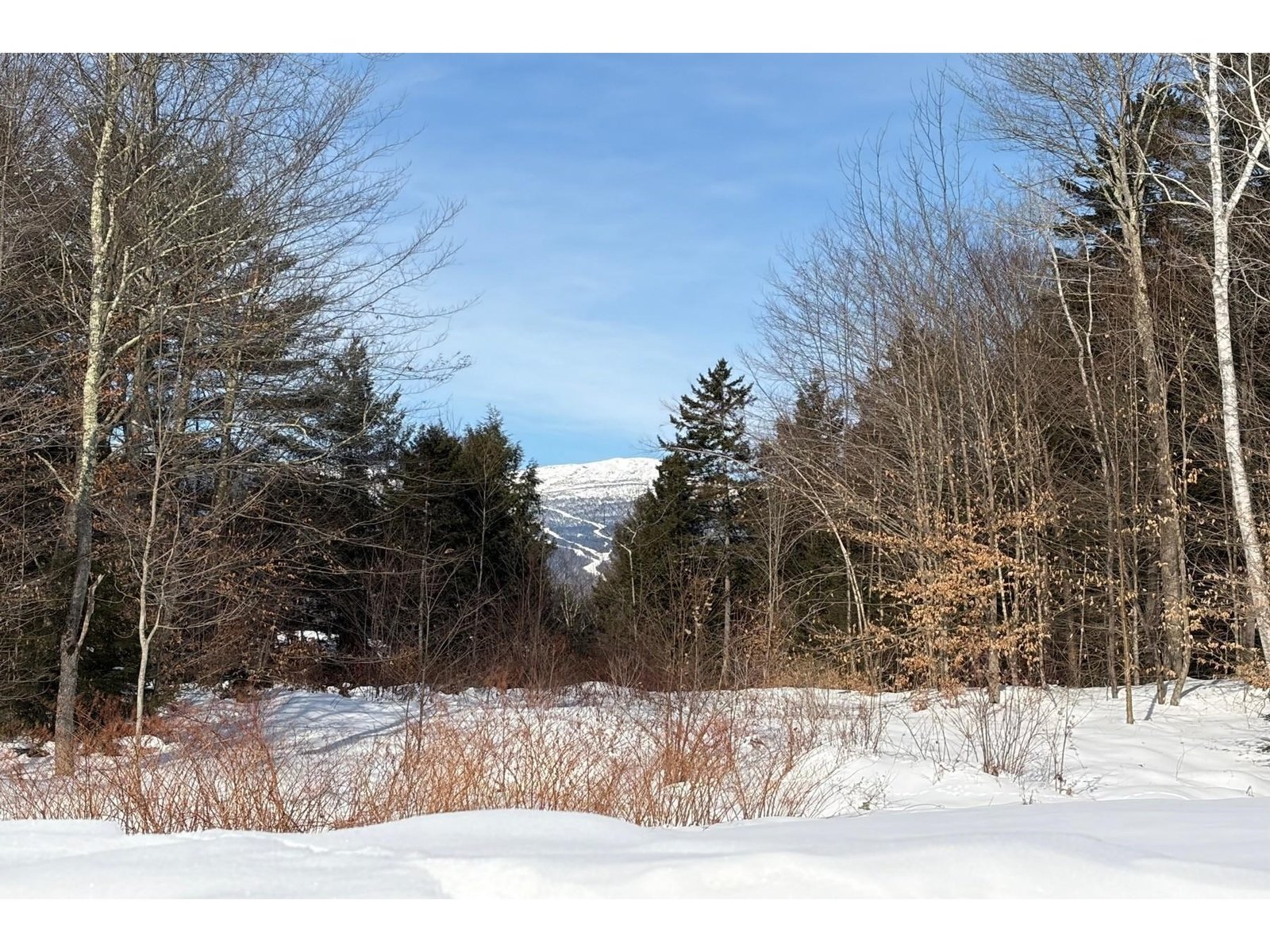 Peek-a-boo Mt. Mansfield View