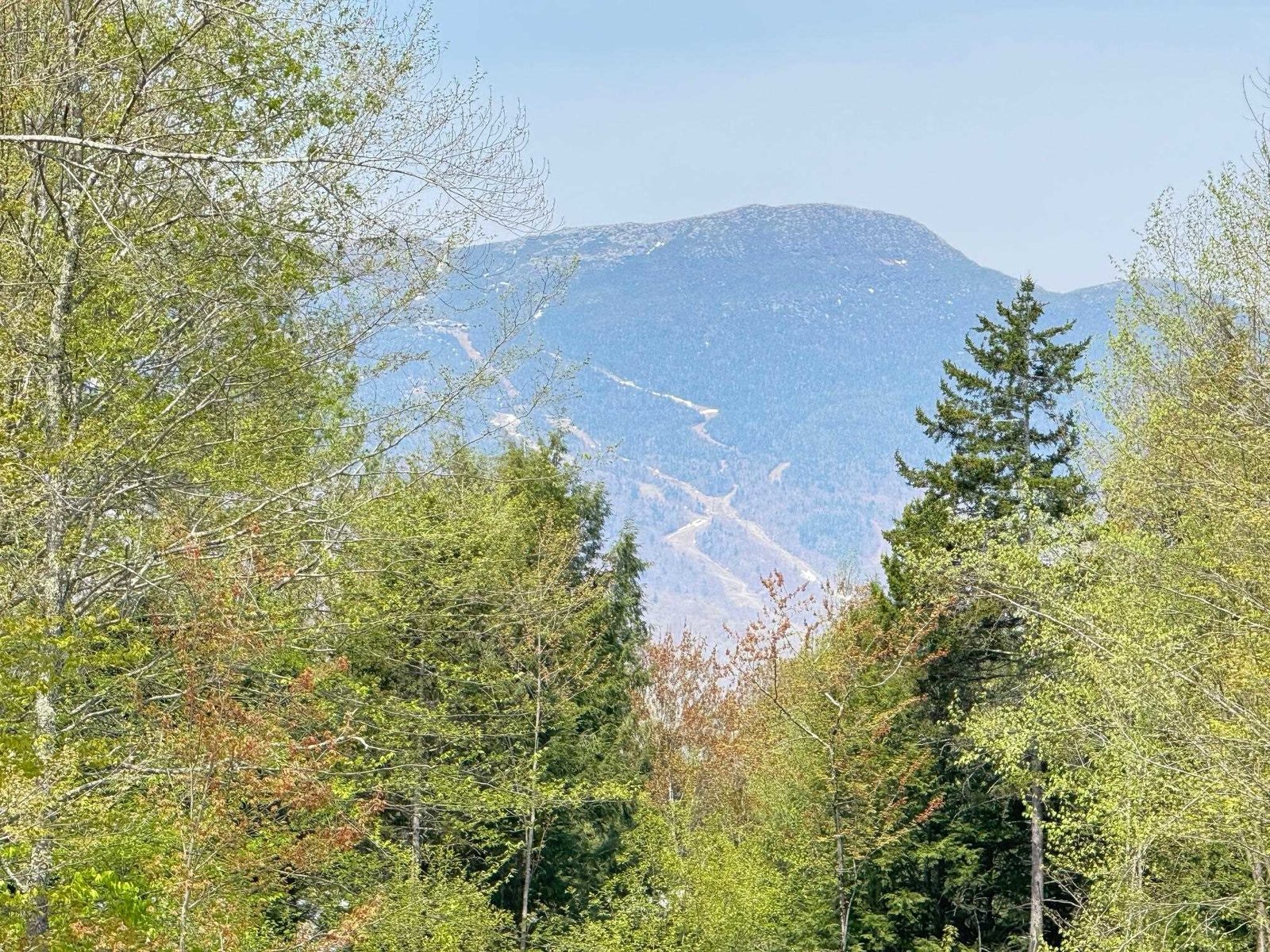 2366 mountain Road, Unit unit 3
