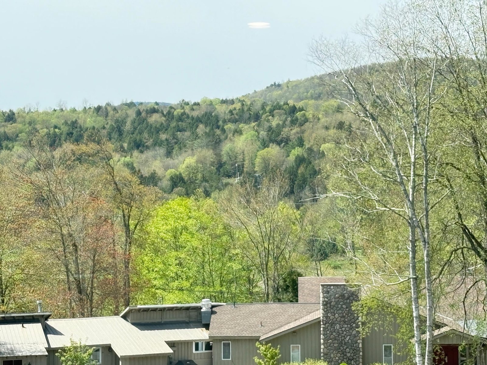 2366 mountain Road, Unit unit 3