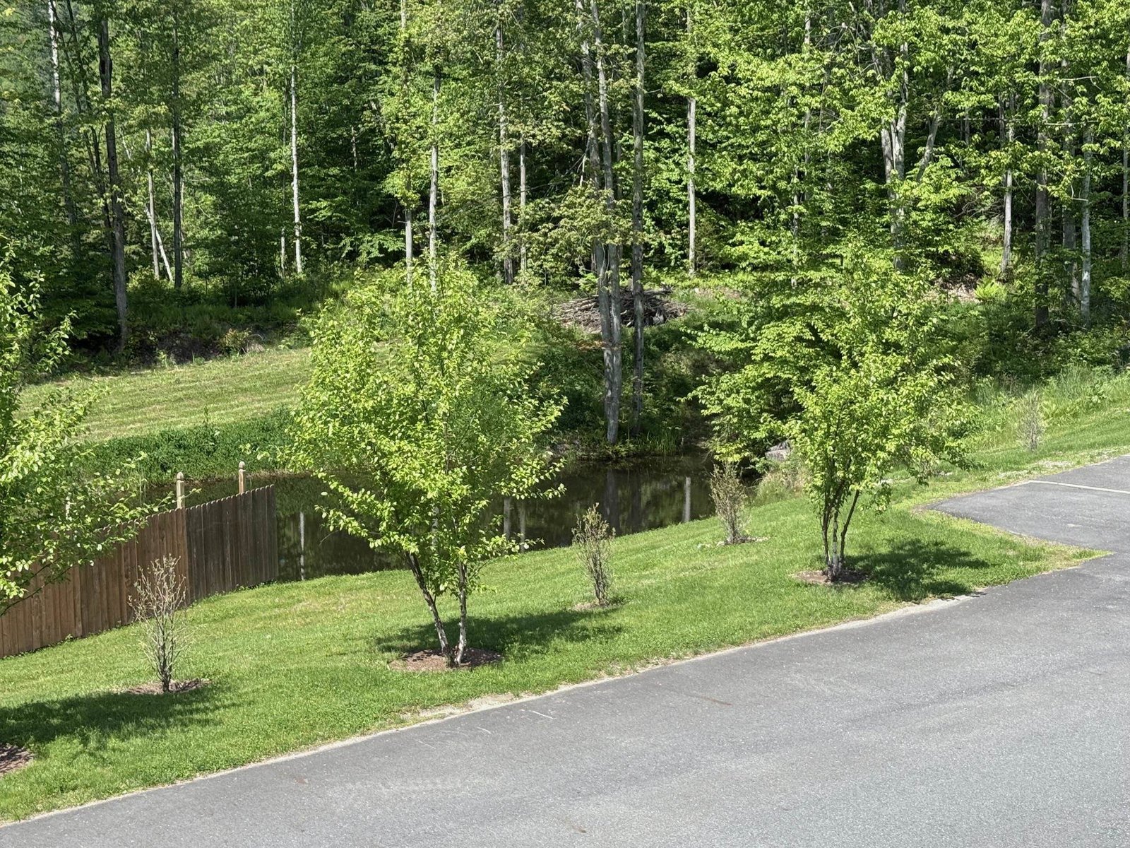 2366 mountain Road, Unit unit 3