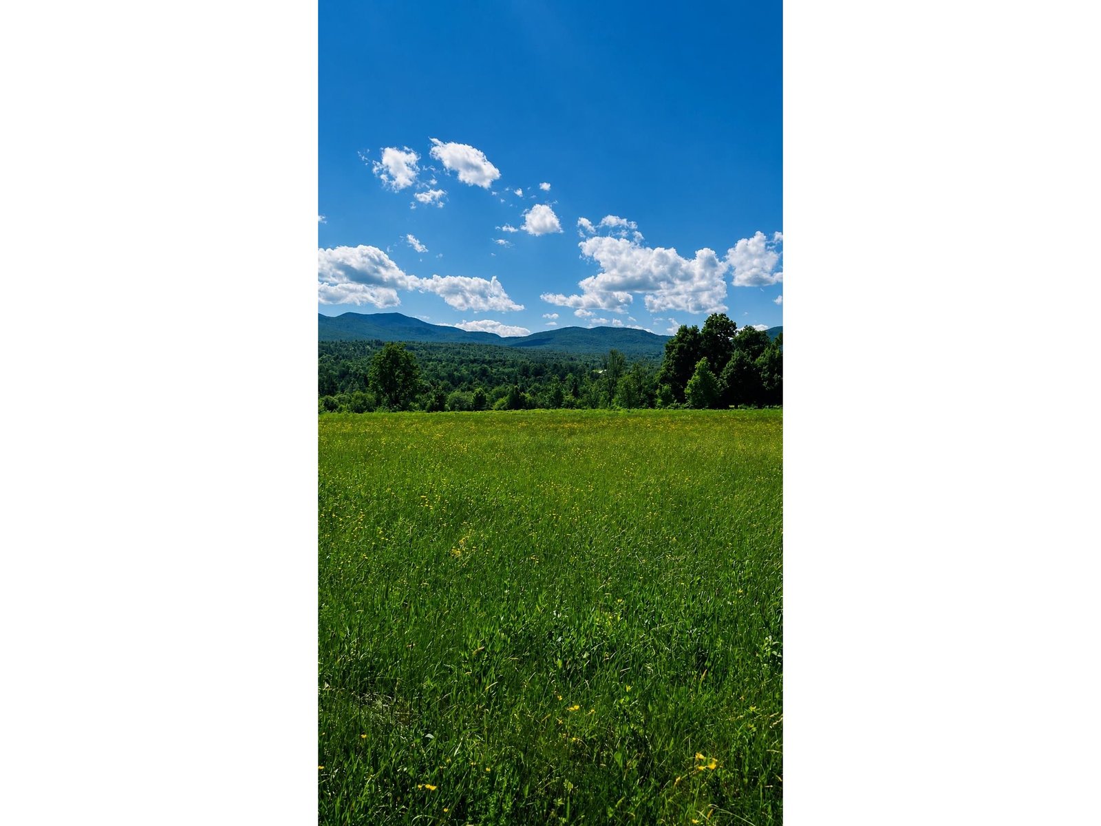 237 Loop Road