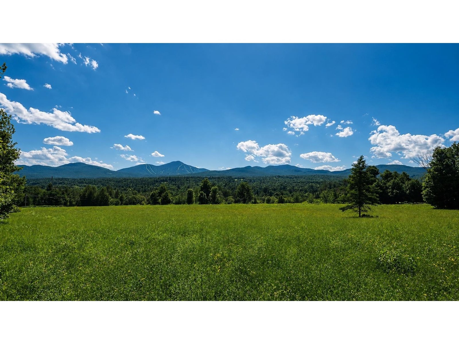 237 Loop Road
