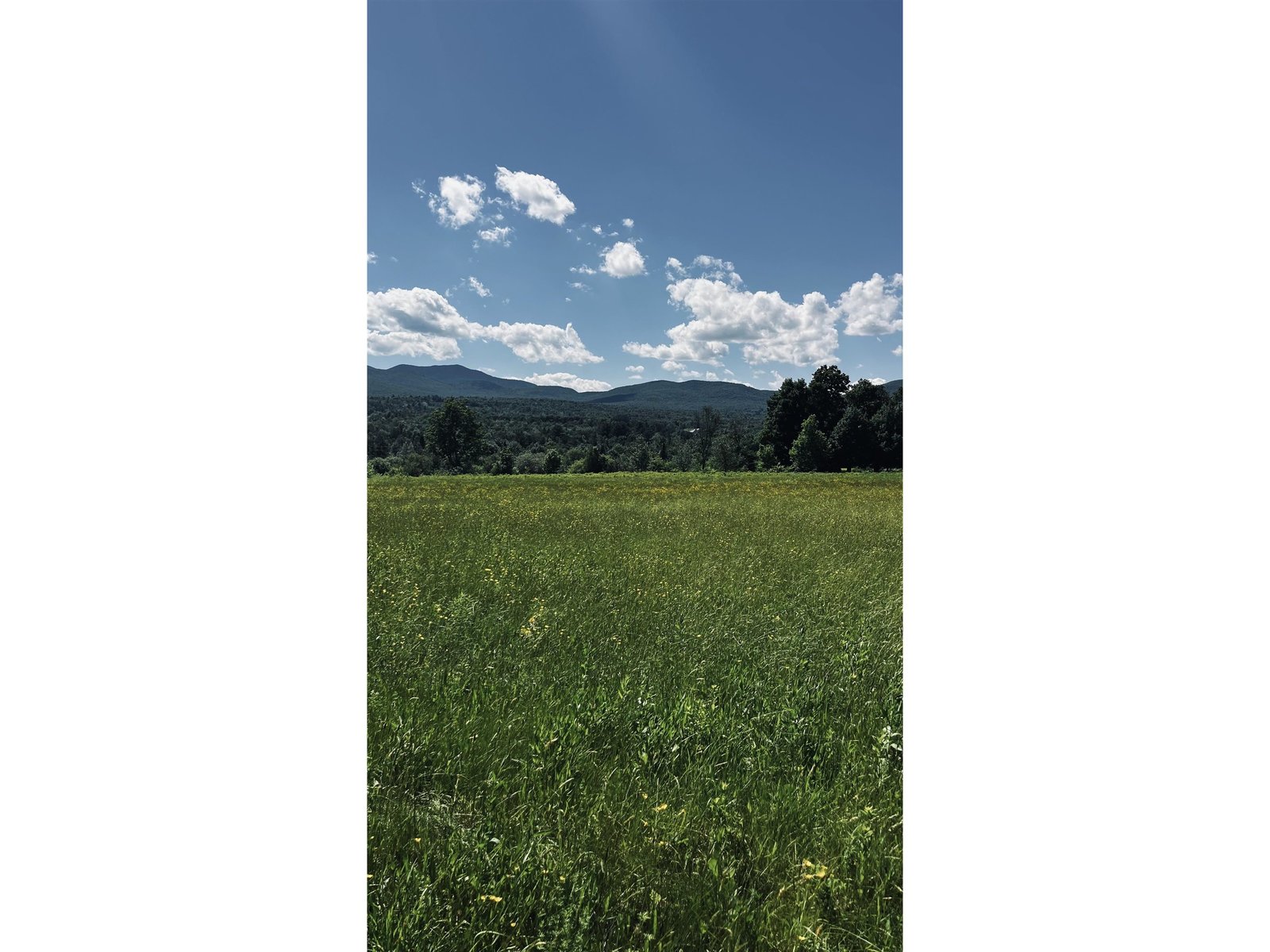 237 Loop Road