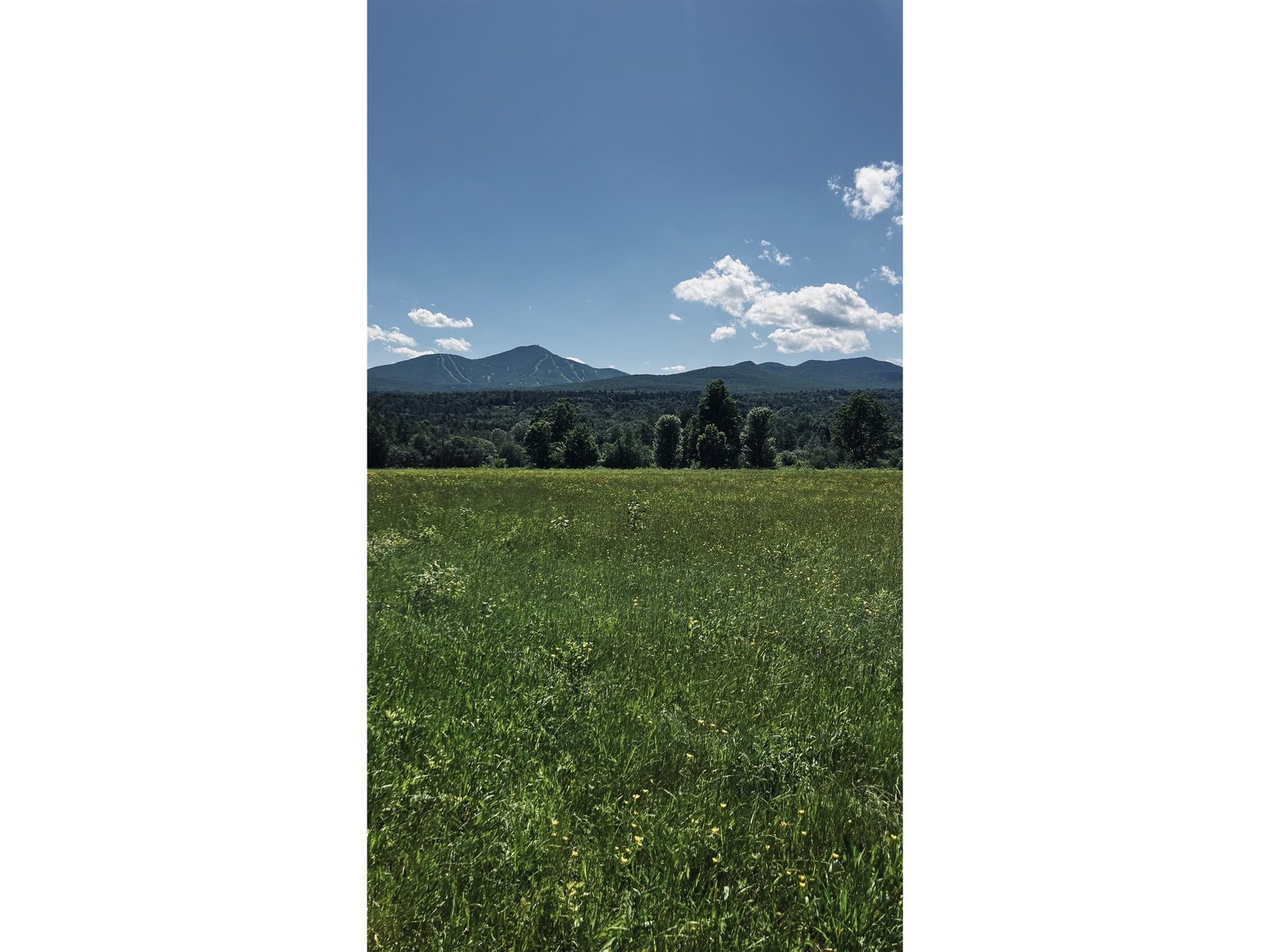 237 Loop Road