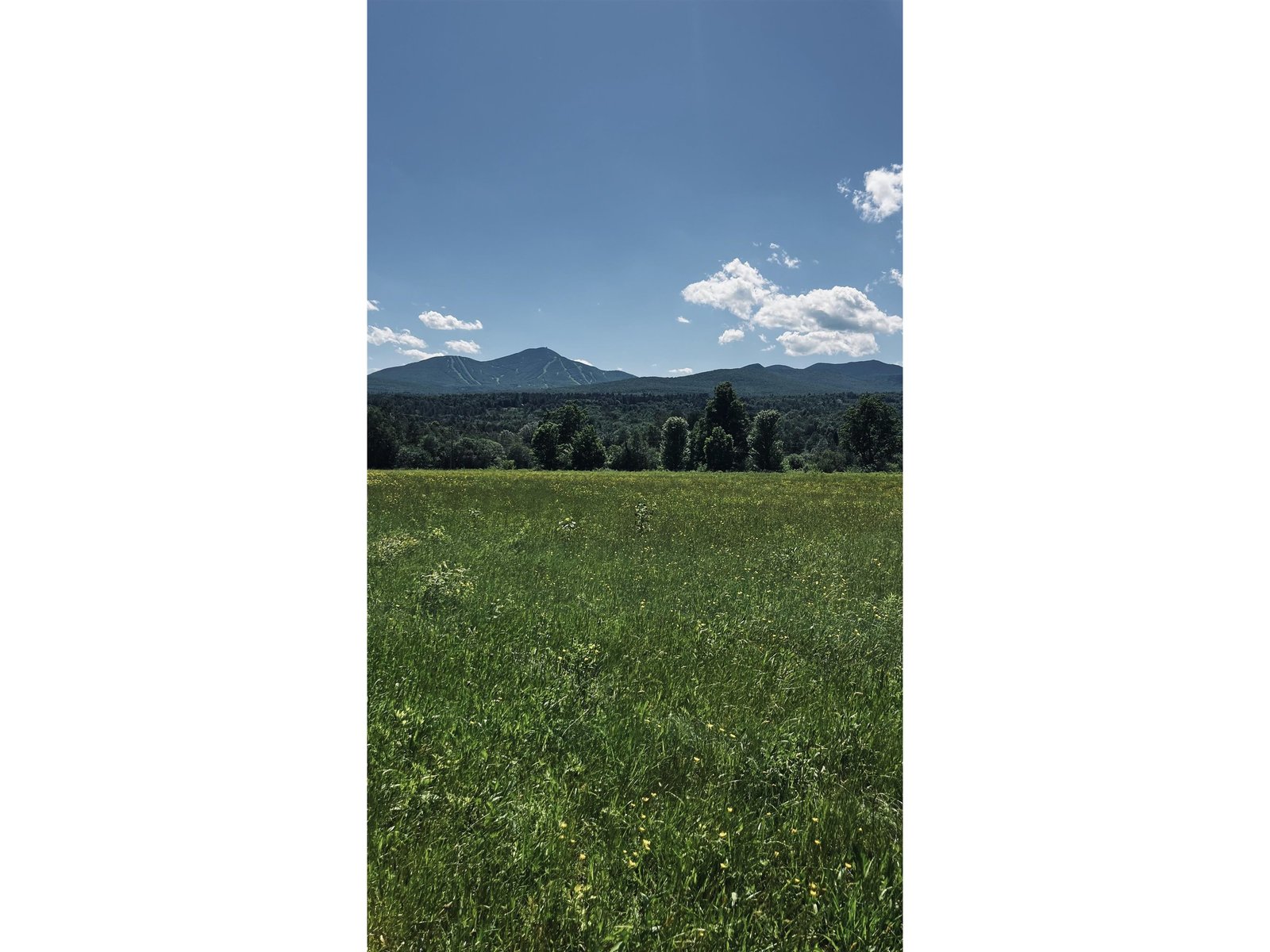 237 Loop Road