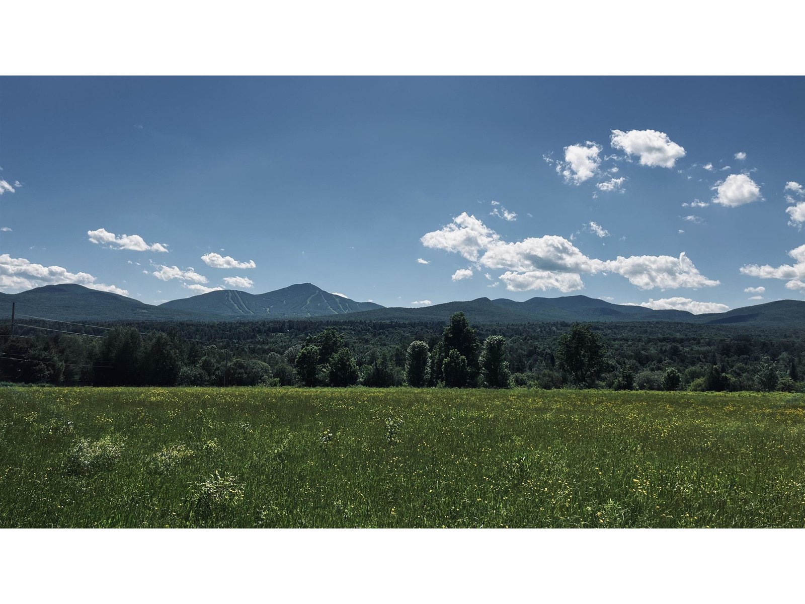 237 Loop Road