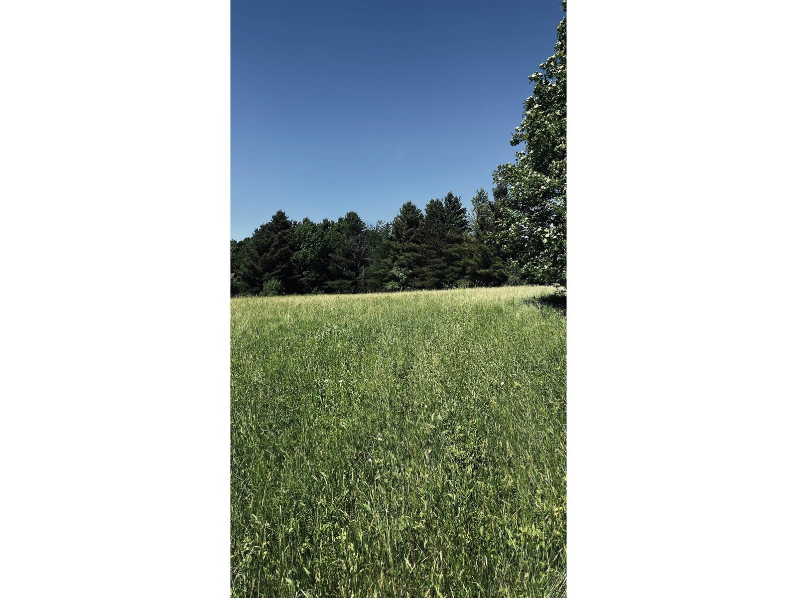 237 Loop Road