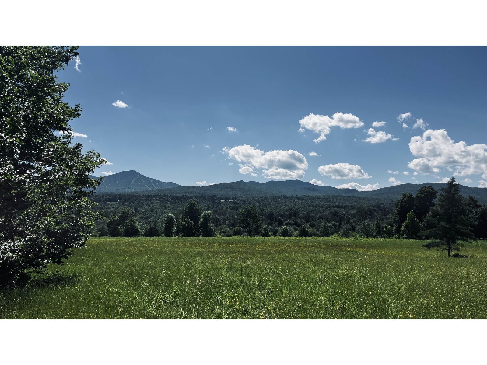 237 Loop Road