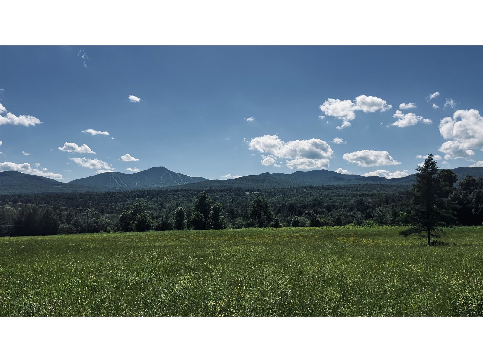237 Loop Road
