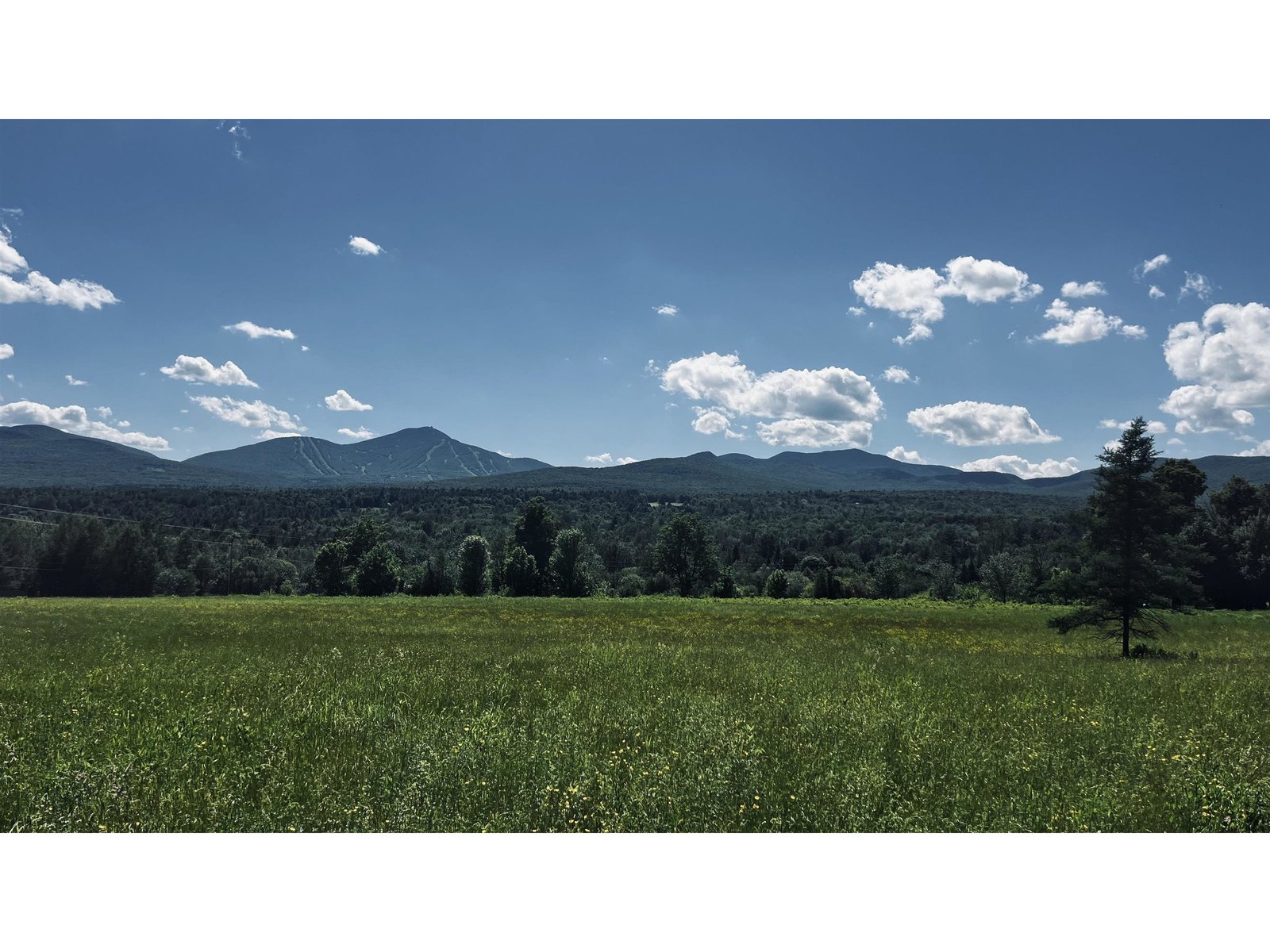 237 Loop Road