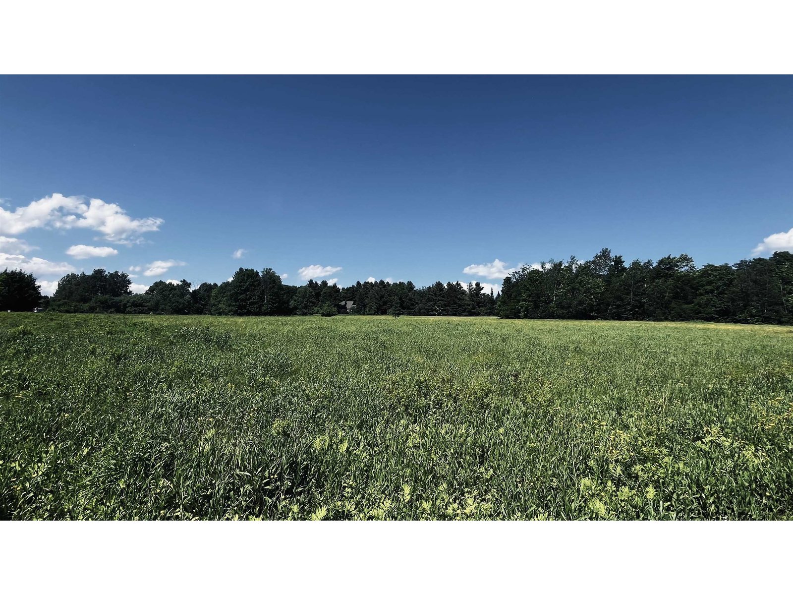 237 Loop Road