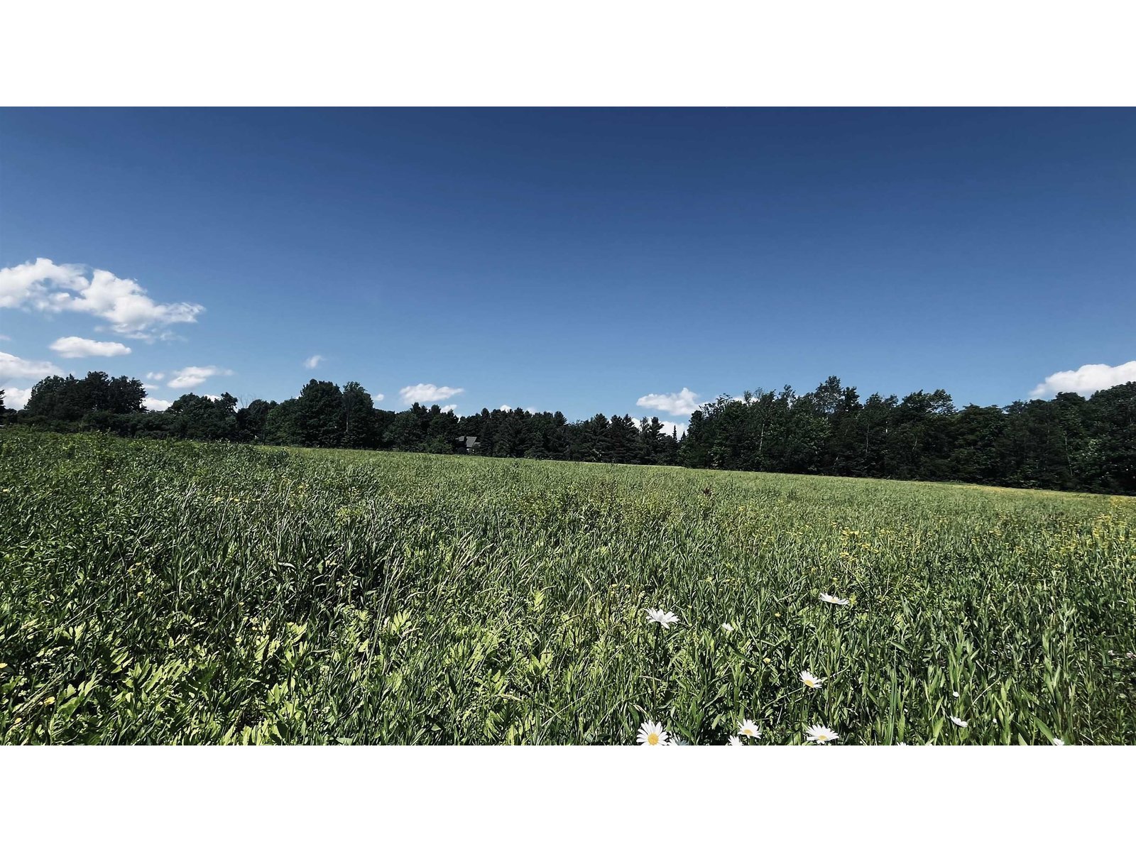 237 Loop Road