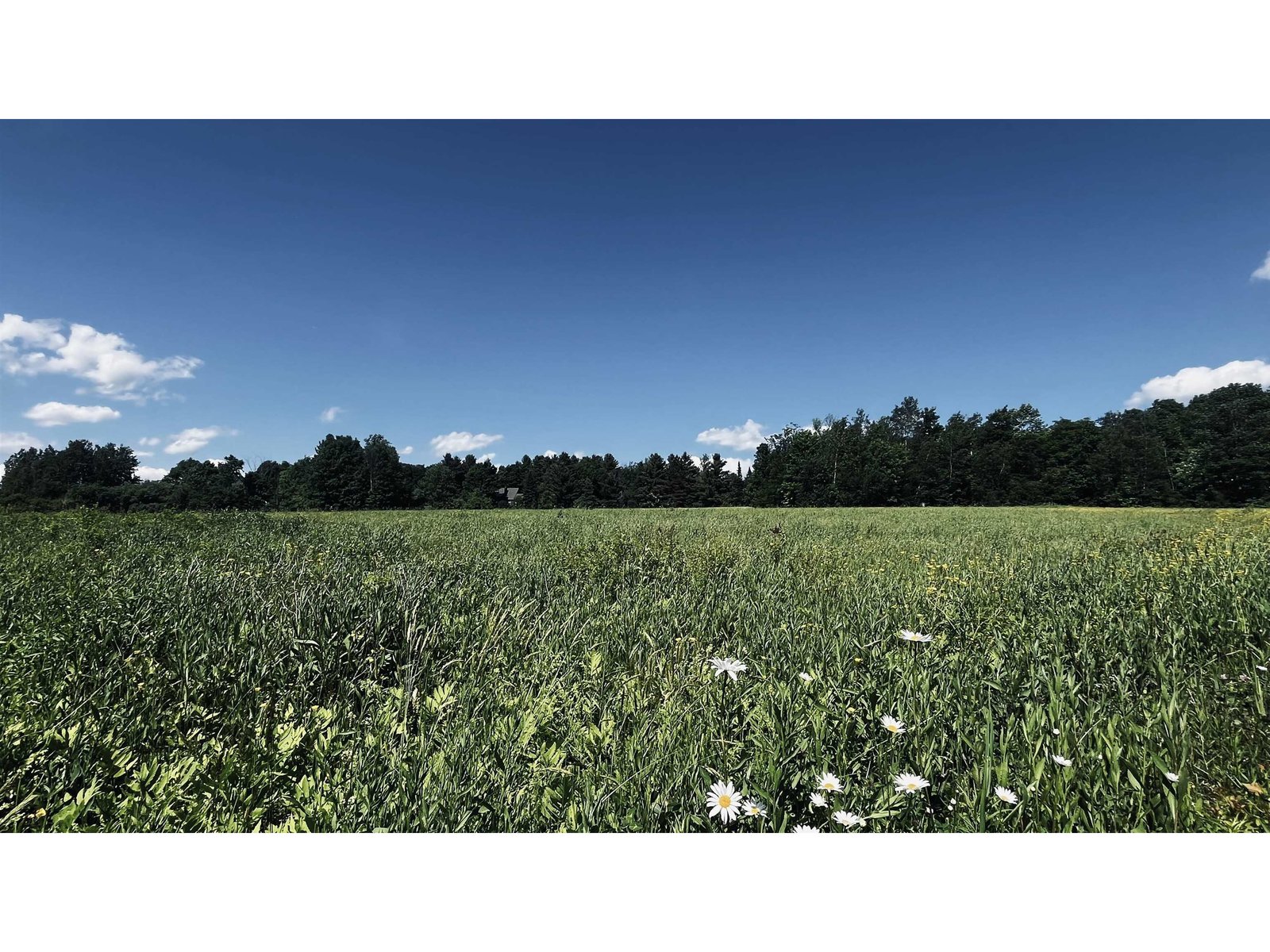237 Loop Road