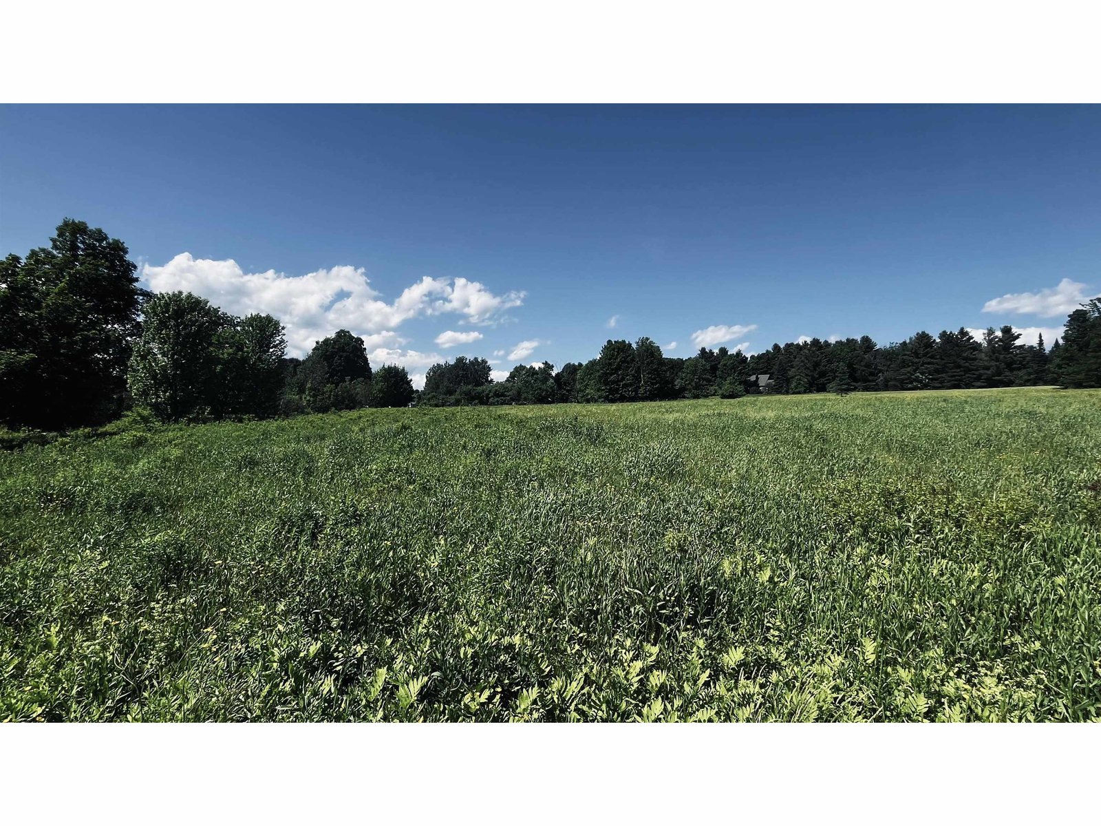 237 Loop Road