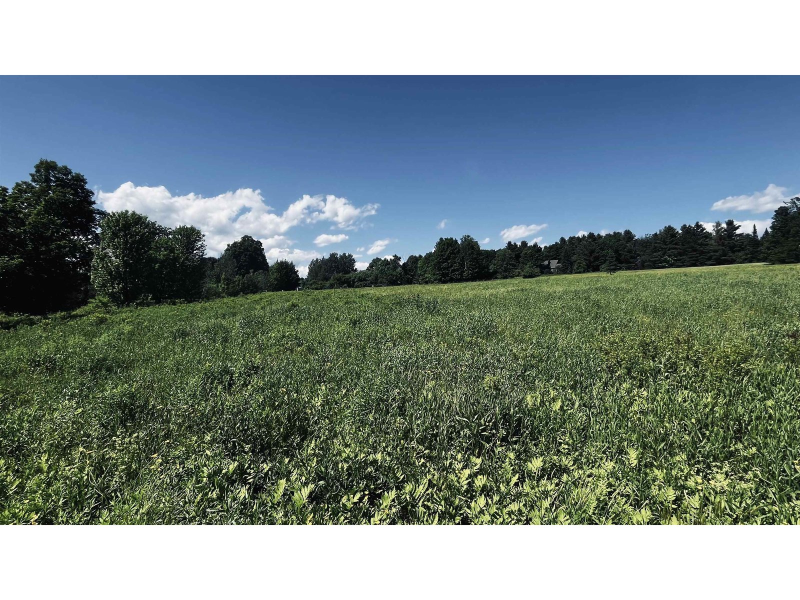 237 Loop Road