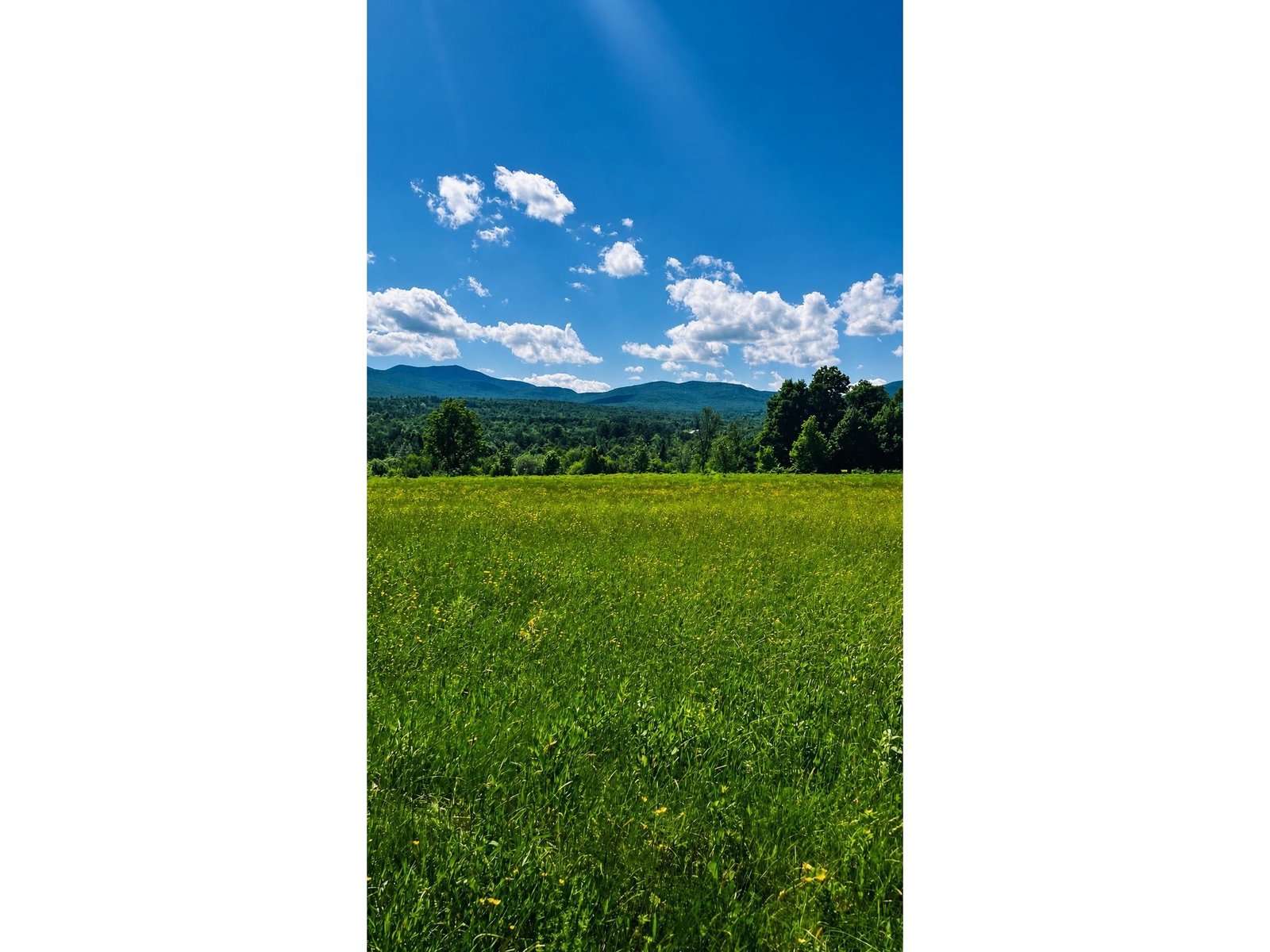 237 Loop Road