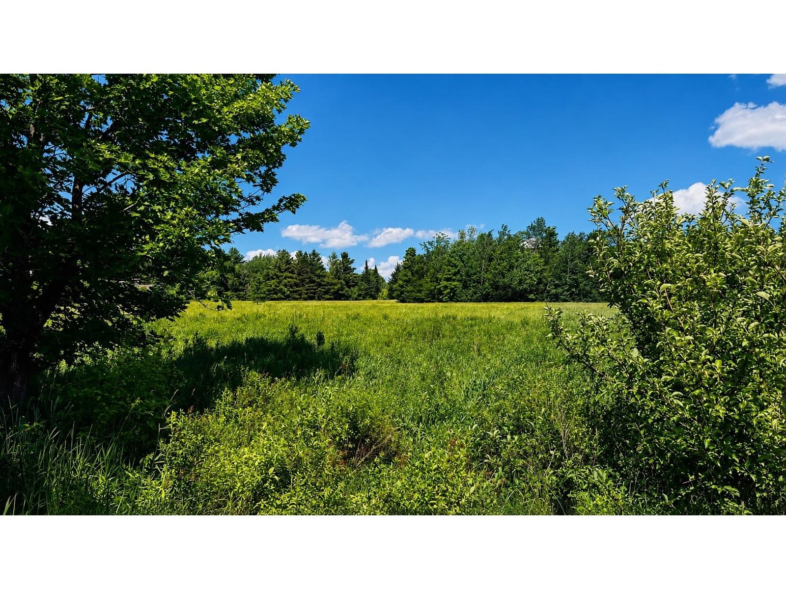 237 Loop Road