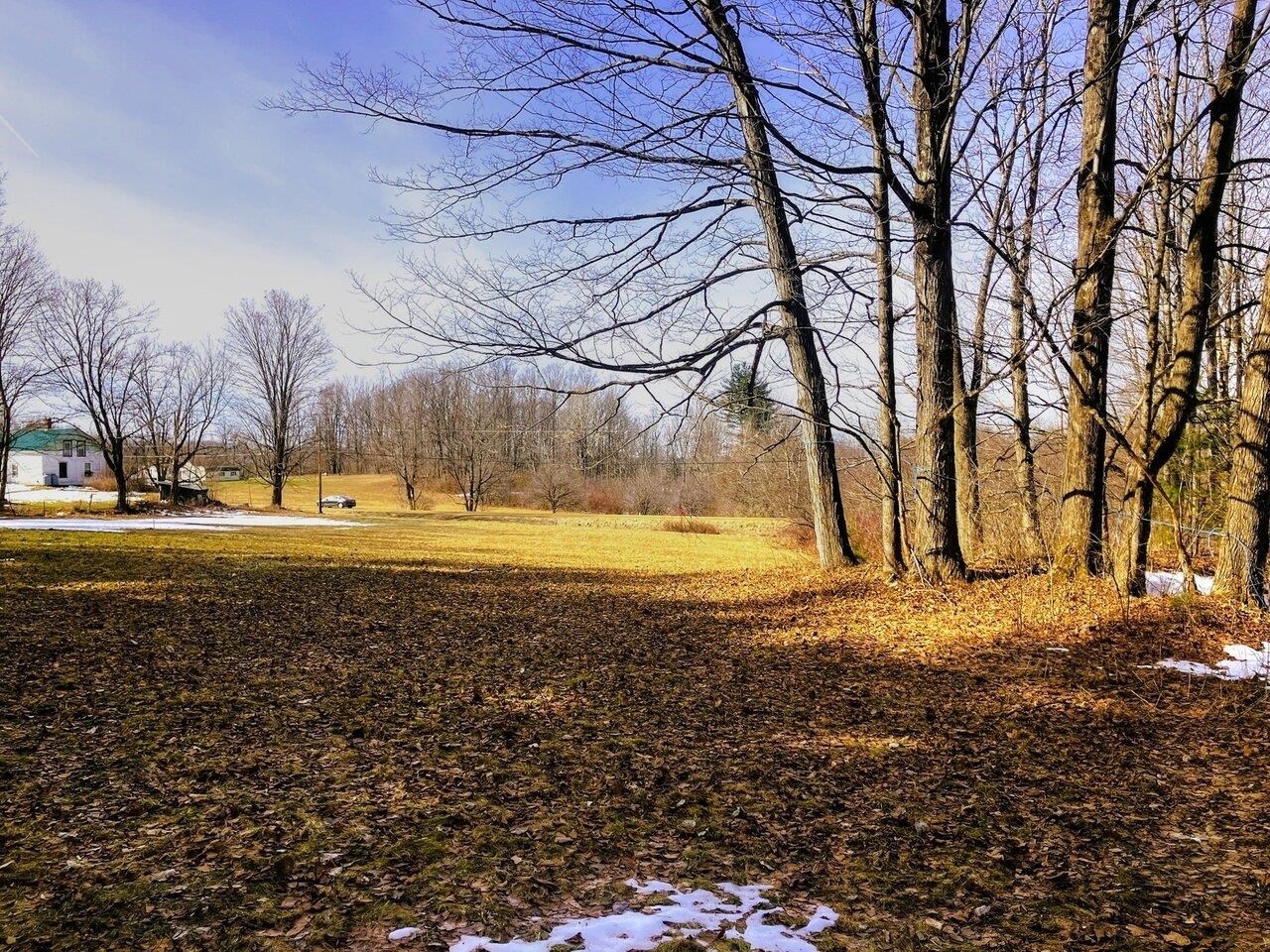 Private lot bordered by woods