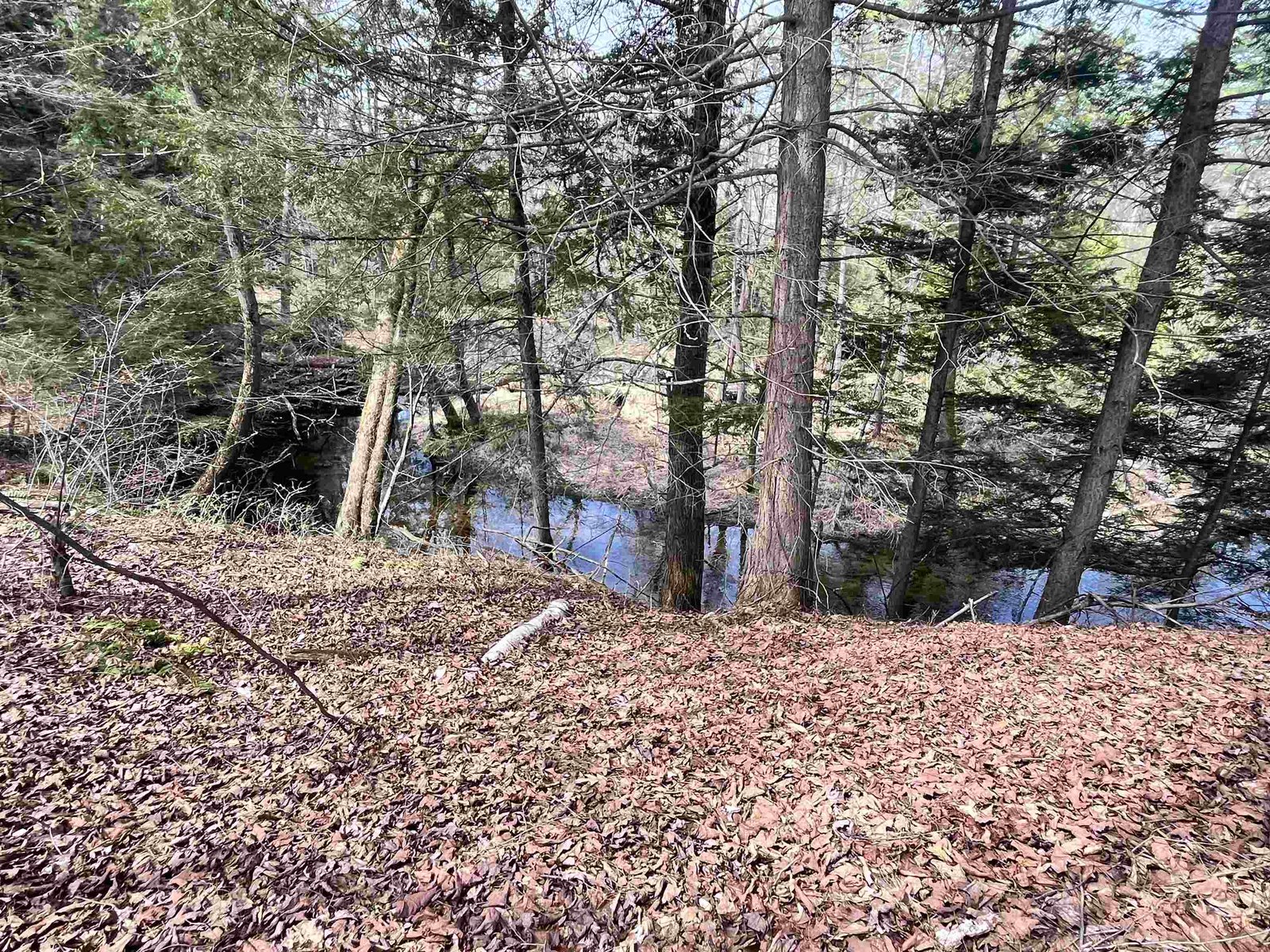 2391 McConnell Road