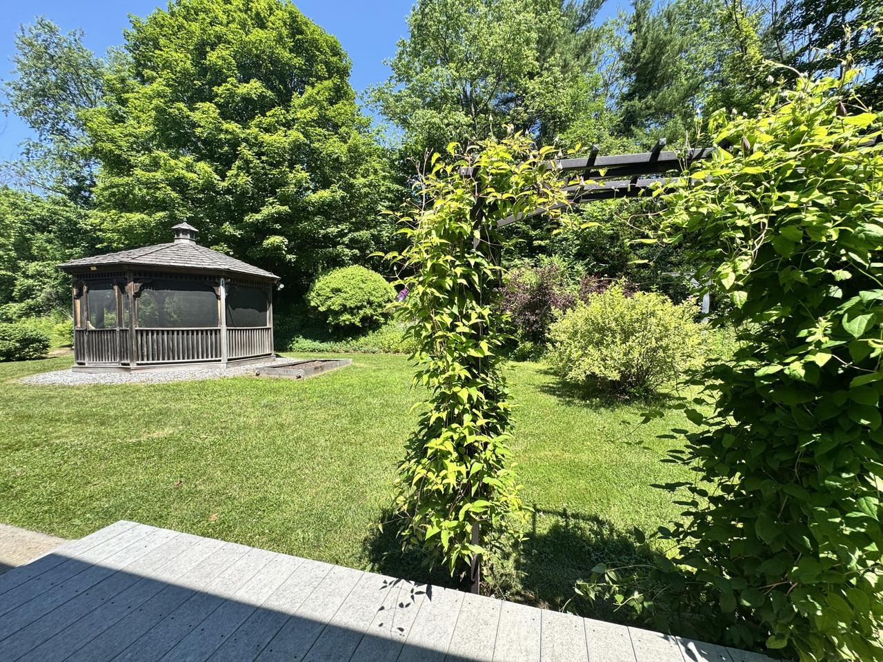 Back Deck