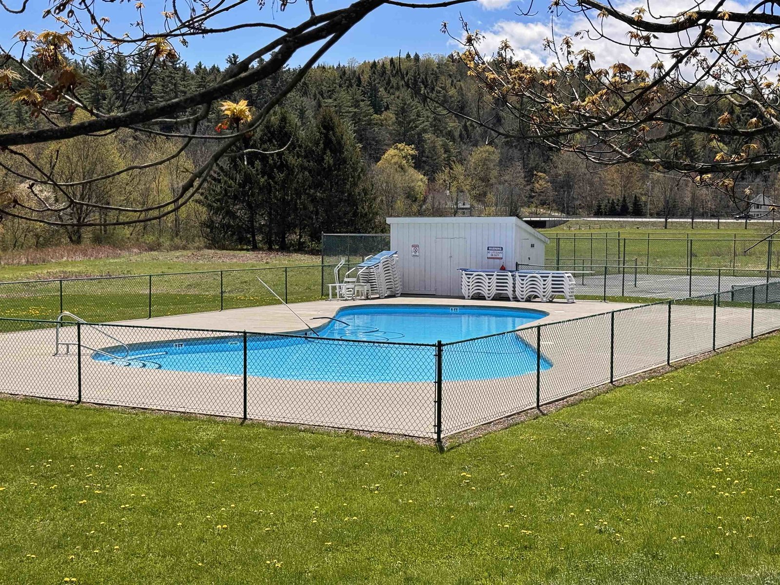 In-Ground Pool
