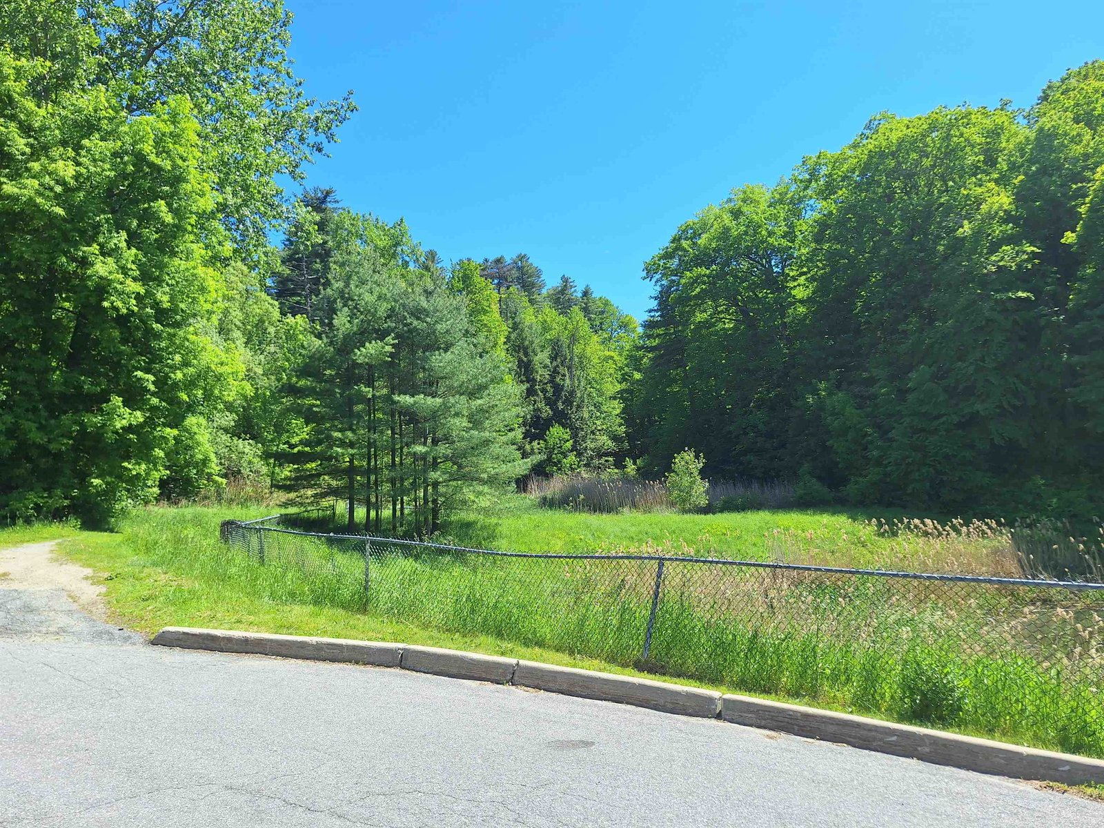 241 Hildred Drive