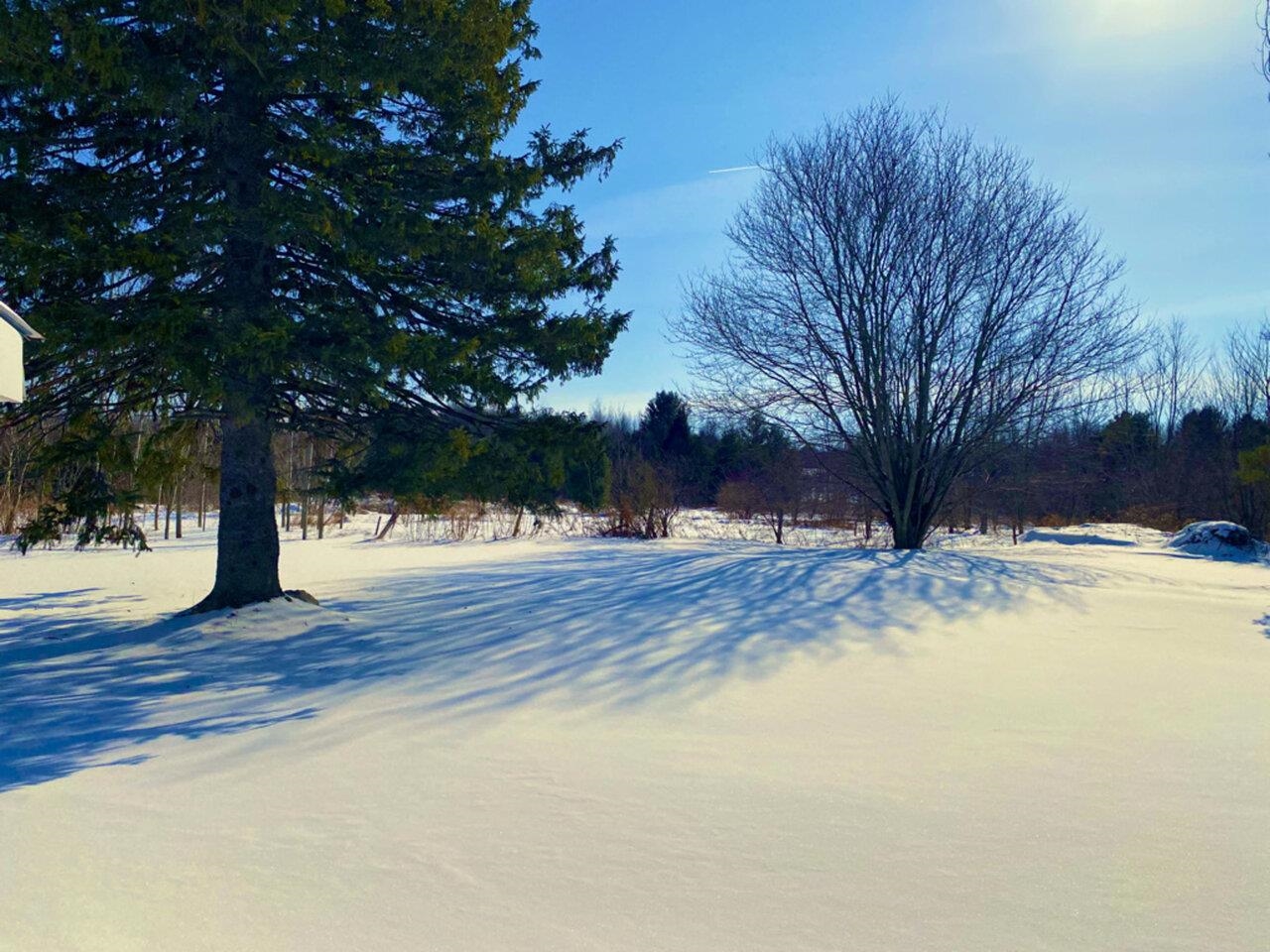 242 East Sheldon Road