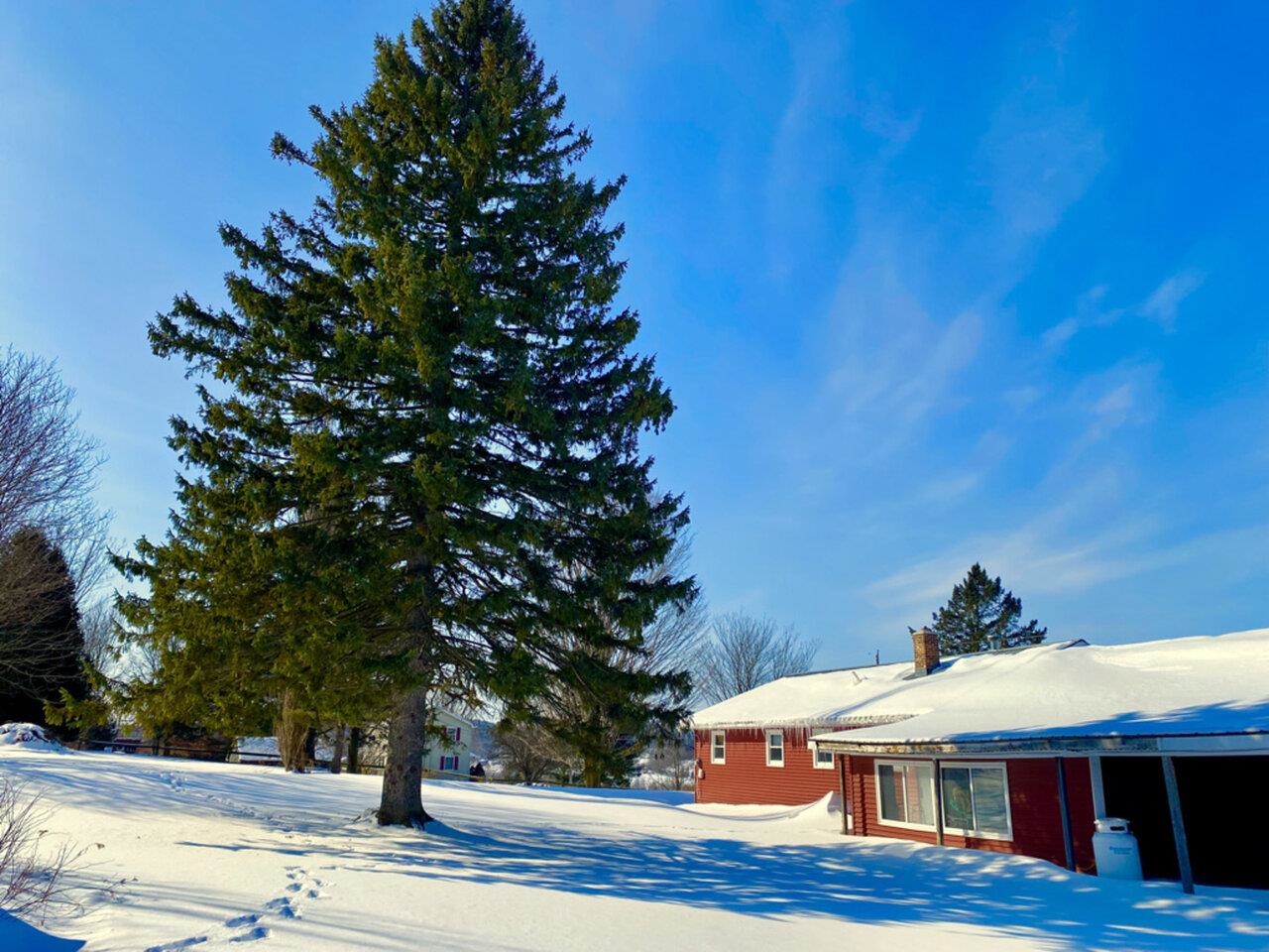 242 East Sheldon Road