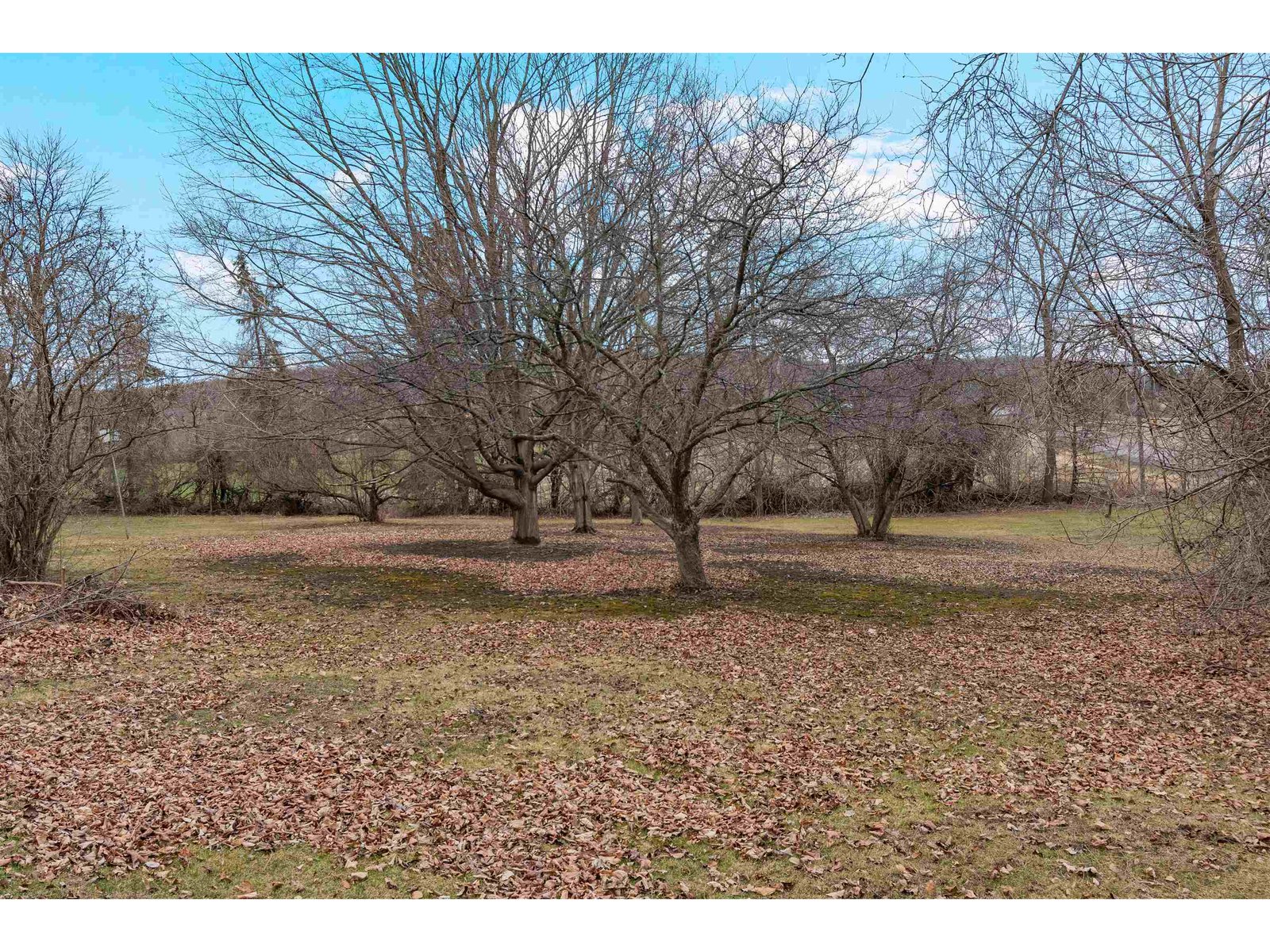 242 Kellogg Road