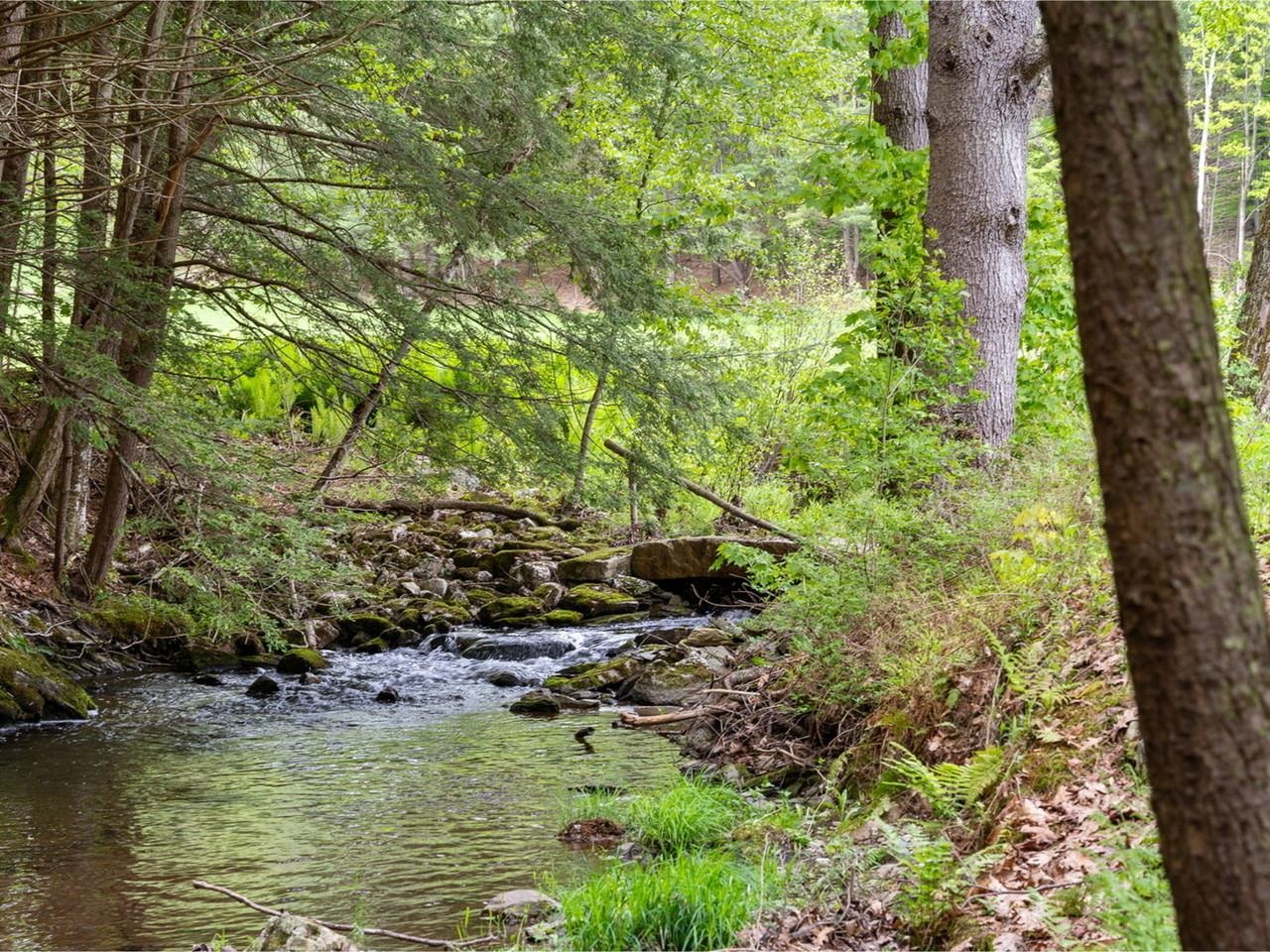 Stream