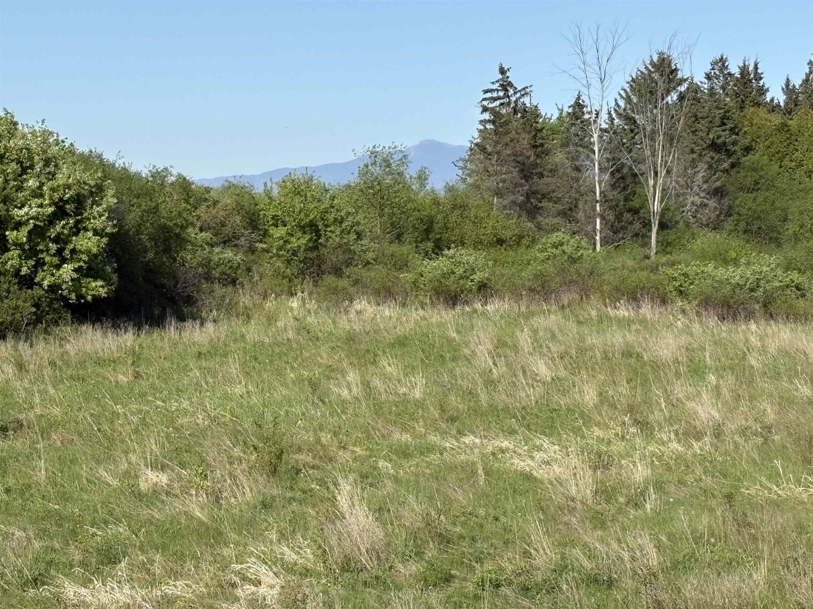 Seasonal views of Camel's Hump from the back yard