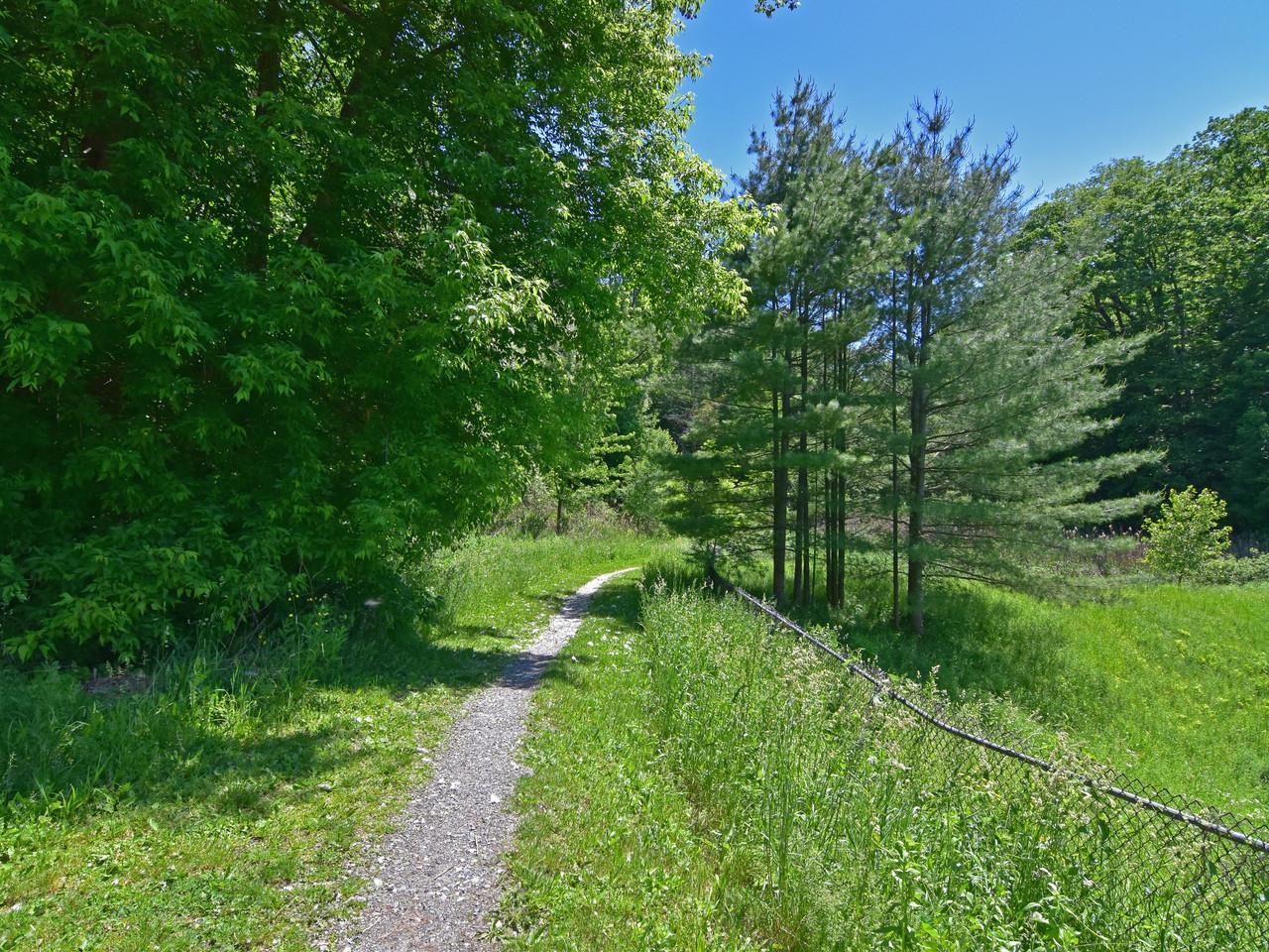 Trail to Colchester Ave/UVM